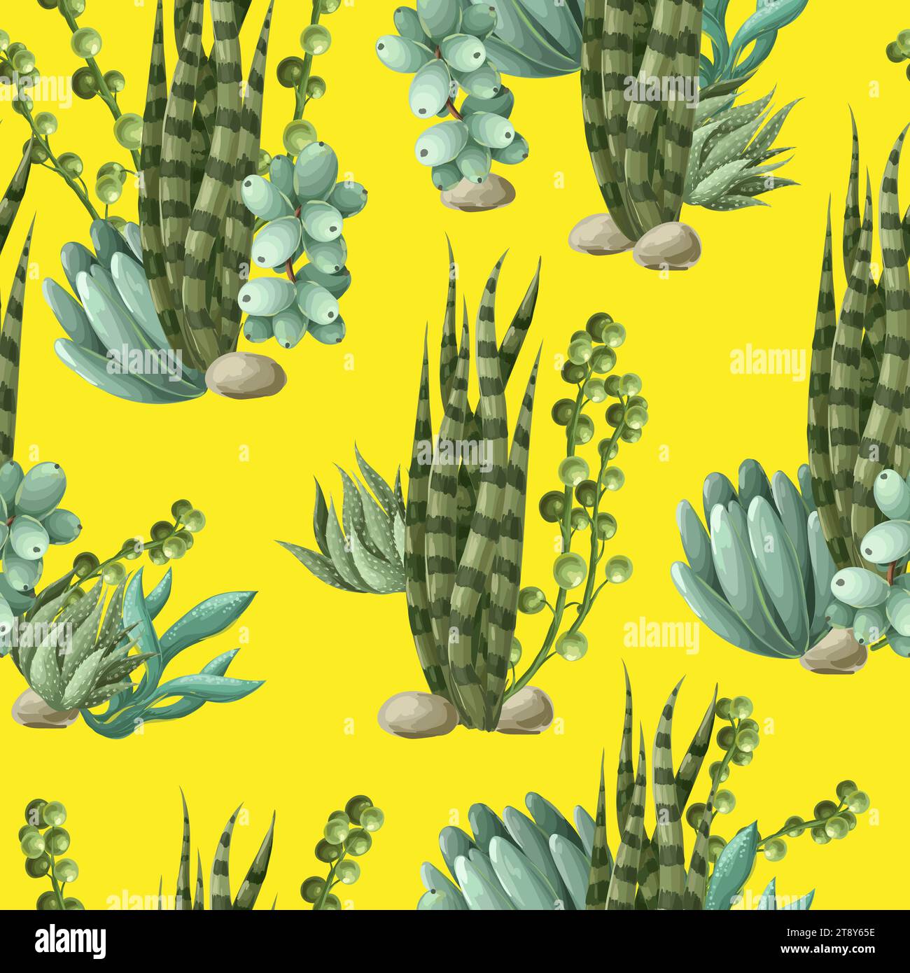 Seamless pattern with succulents and cactus. Vector Stock Vector Image ...