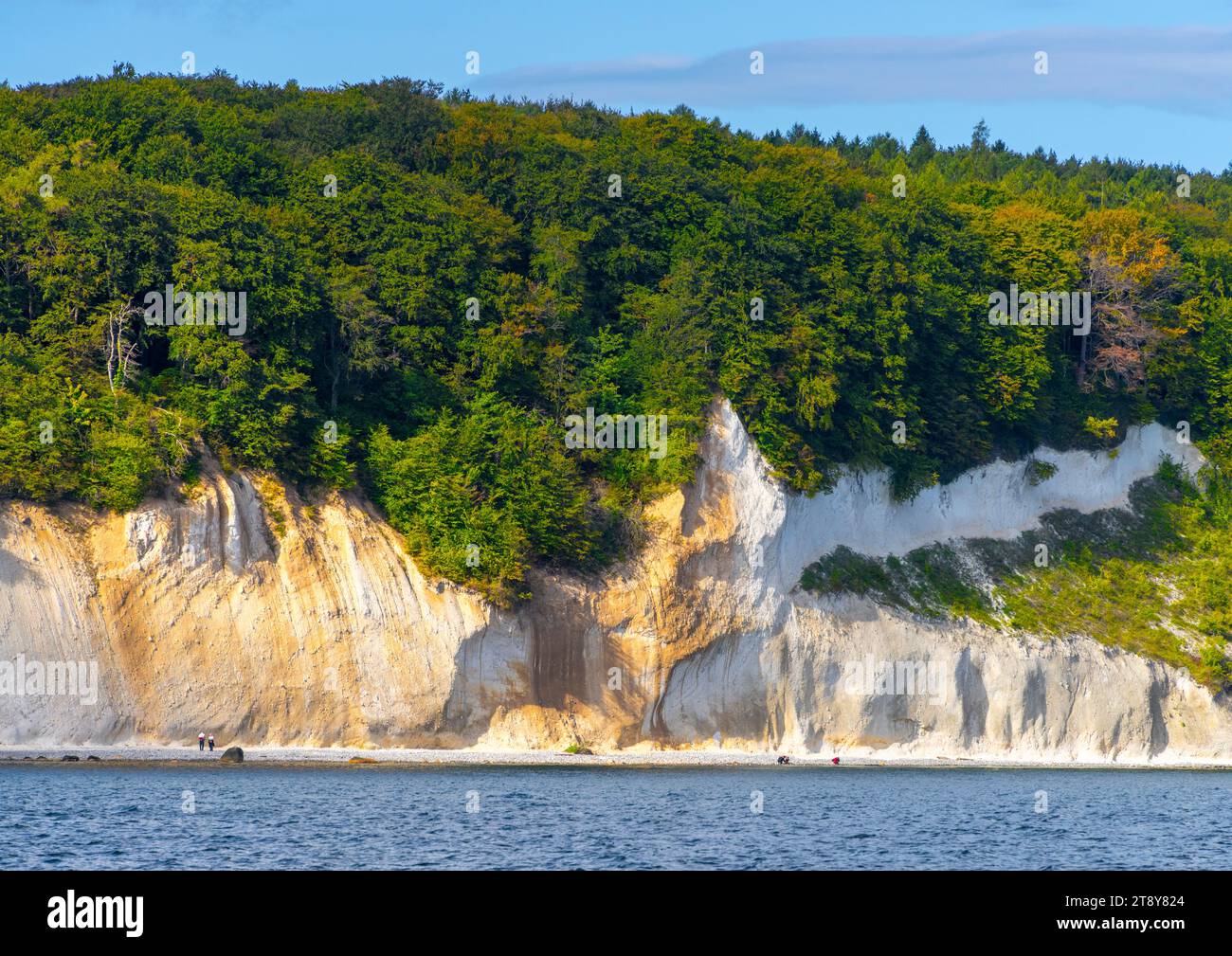 Chalk Cliffs And Chalk Coast, Rügen Island, Baltic Sea, Mecklenburg ...