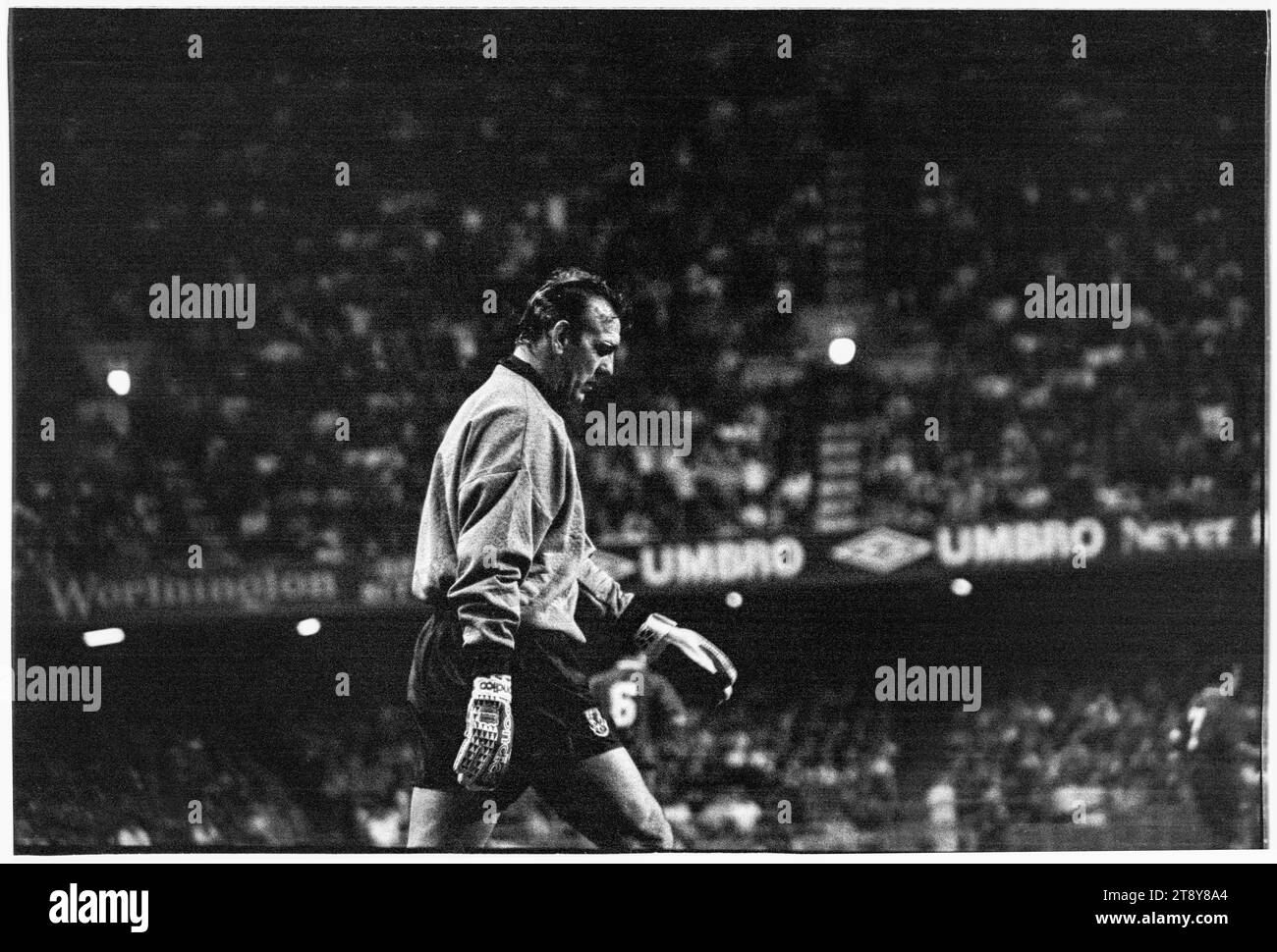 Welsh goalkeeping legend Neville Southall in action. FIFA World Cup 1994 Group 4 Qualification – Wales v RCS (Czechoslovakia AKA Representation of Czechs and Slovaks) at Cardiff Arms Park, Wales, UK on 8 September 1993. A win for Wales in this game would almost guarantee qualification with 2 group matches remaining. They led 2-1 but conceded a late free kick goal from Peter Dubovský and the match ended 2-2. Photo: Rob Watkins Stock Photo