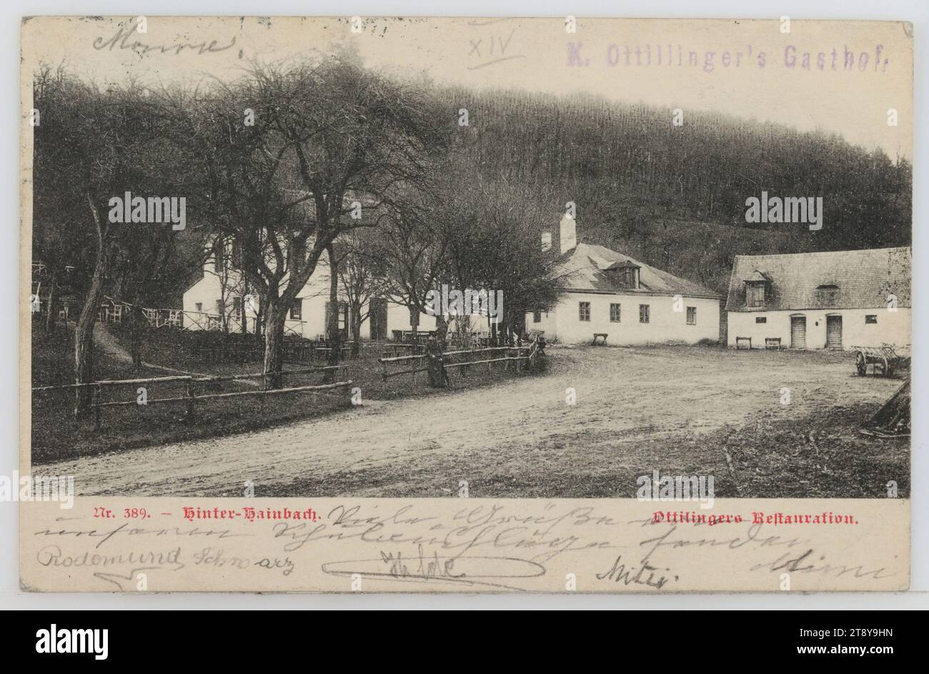 14th, Hainbach - K. Ottillinger's Gasthof, picture postcard, Unknown, 1903, cardboard, collotype, inscription, FROM, Hadersdorf-Weidlingau, TO, Schärding, ADDRESS, Frl. [...] [...], Institute d. engl. Frl, Schärding, P.O. Box, MESSAGE, Marie, Send many greetings from our school trip, Rodomund Schwarz, Hilde, Mizzi, Mimi, Wienerwald, Hotel and restaurant business, Postcards with transliteration, 14th district: Penzing, with people, handwriting, written text, The Vienna Collection Stock Photo