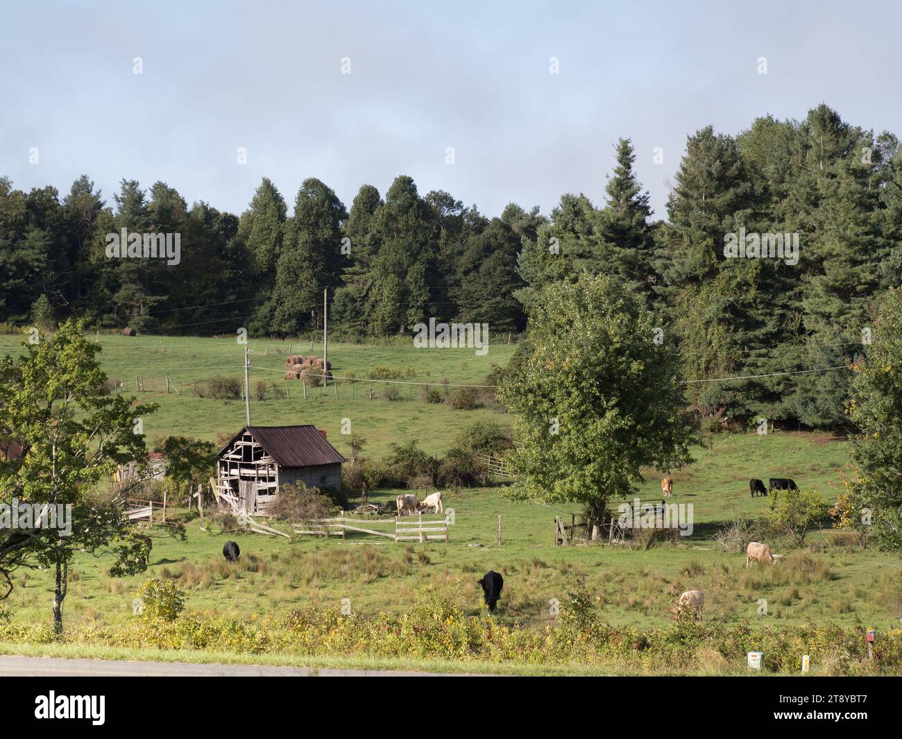 Farm on the Blue Ridge Parkway, North Carolina, USA Stock Photo - Alamy