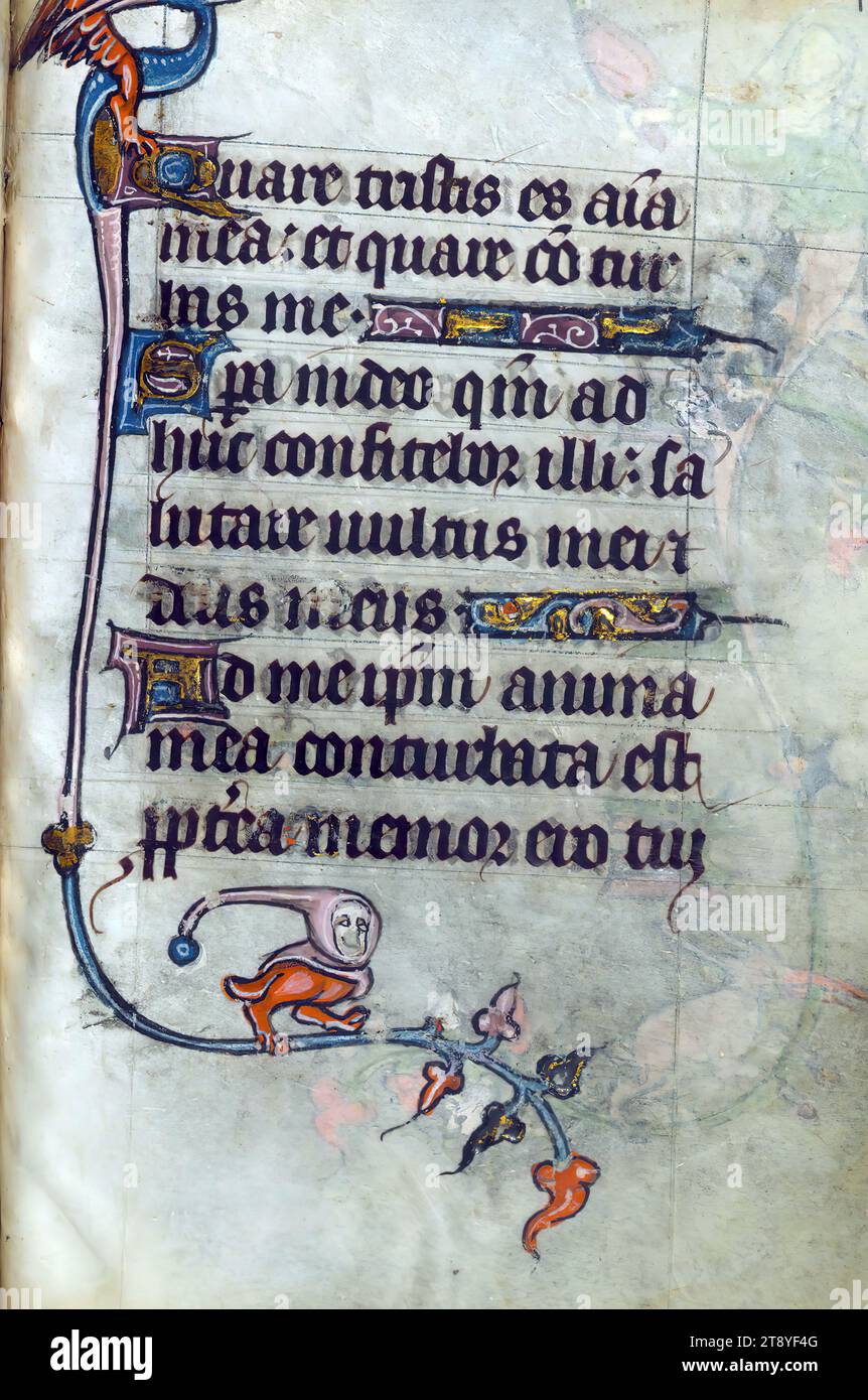 Incomplete Book of Hours, Marginalia, This Book of Hours was made ca ...