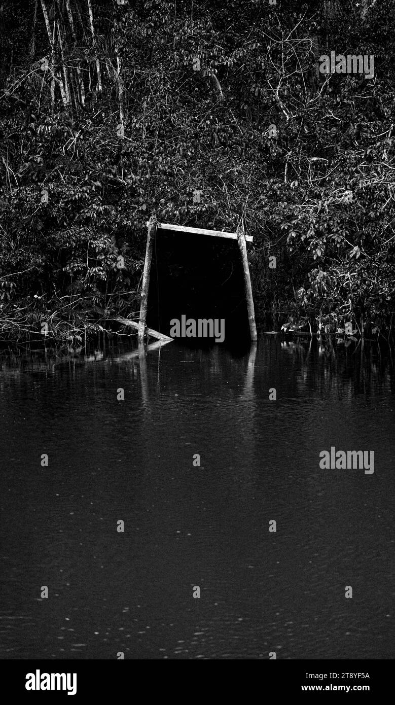 Dark water ripple leaf Black and White Stock Photos & Images - Alamy