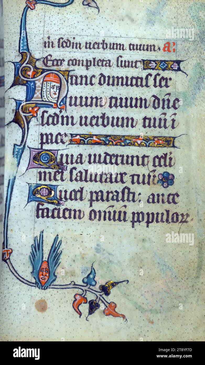 Incomplete Book of Hours, Marginalia, This Book of Hours was made ca ...
