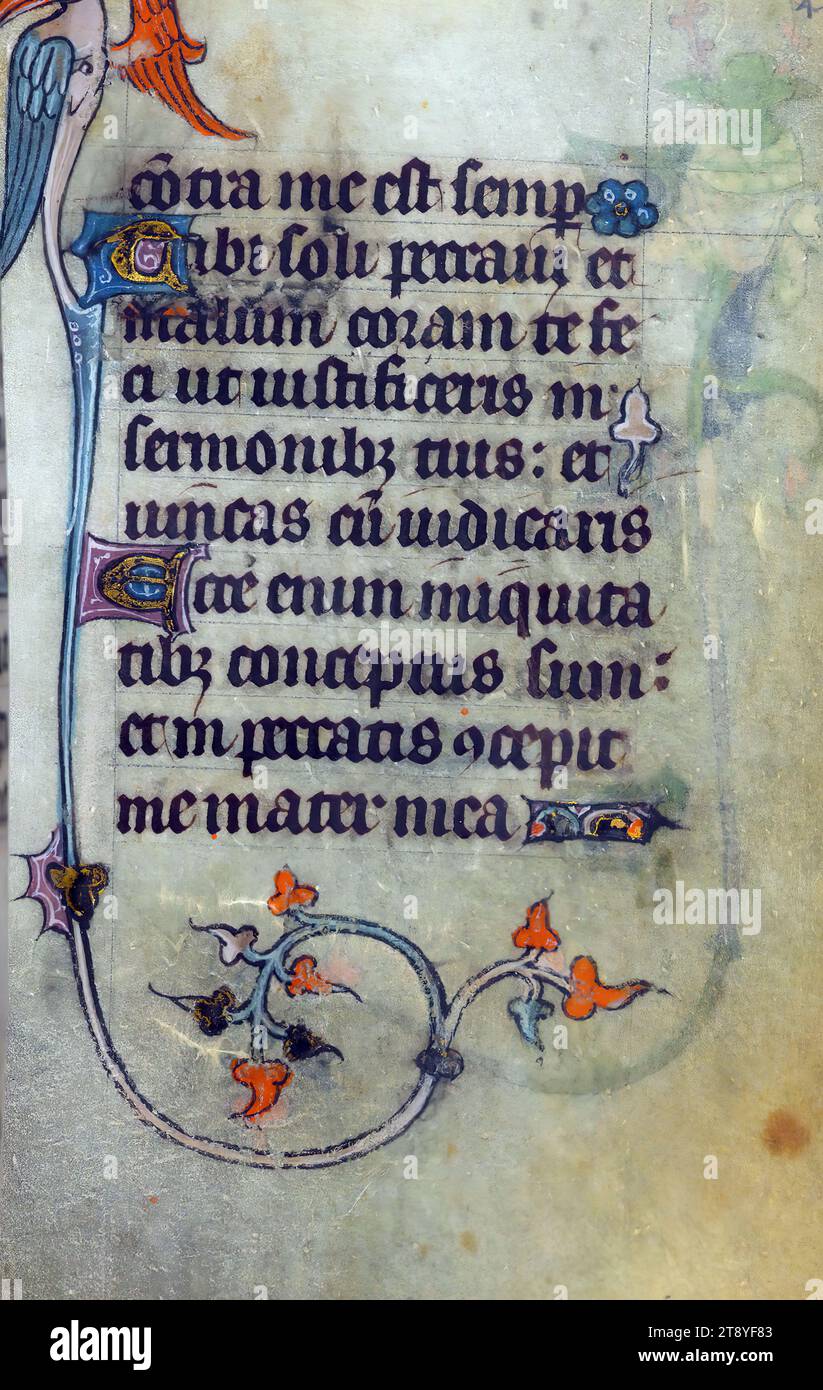 Incomplete Book of Hours, Marginalia, This Book of Hours was made ca ...