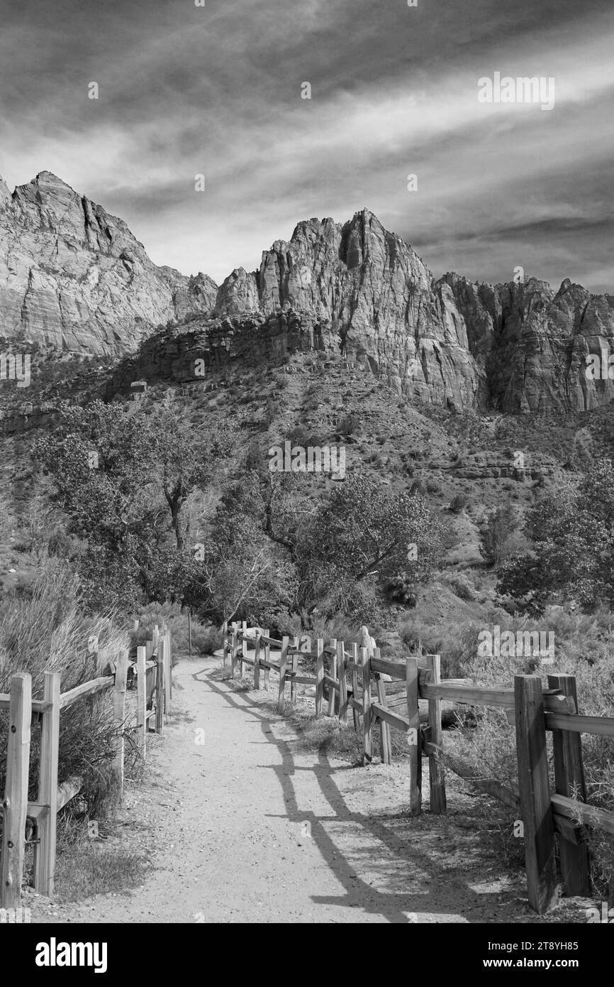 Trail in Zion National Park in Utah in Black and White Stock Photo
