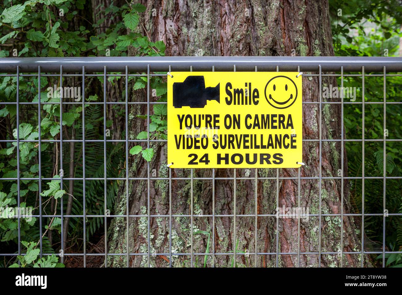 Video Surveillance Sign on a metal gate in the forest, Oregon Stock Photo
