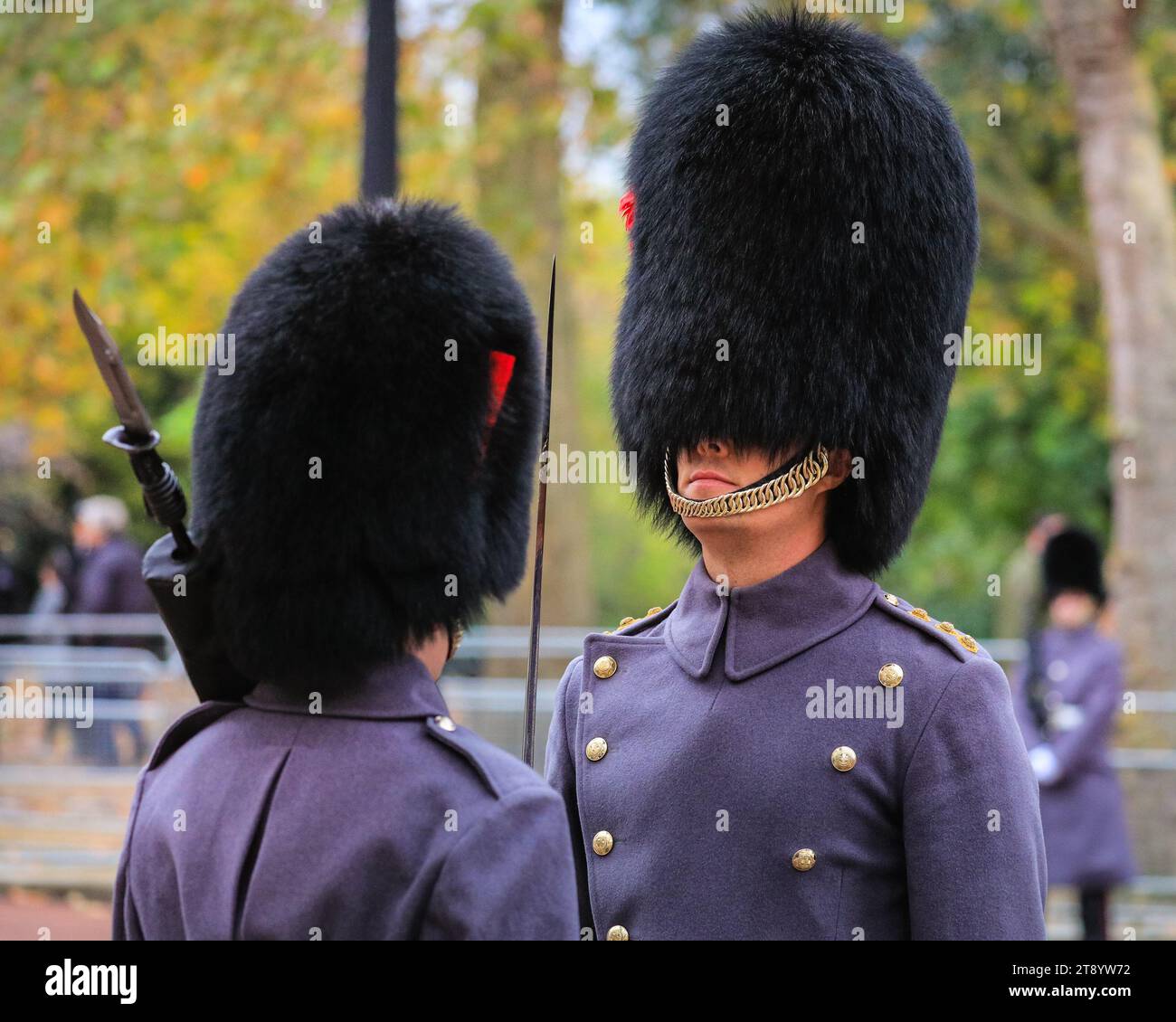 London, UK. 21st Nov, 2023. A foot guard is inspected and greeted by a superior before the procession passes by. Troups proceed along the Mall, accompanying the carriages carrying members of the British Royal family and the state visitors from South Korea. The President of the Republic of Korea, His Excellency Yoon Suk Yeol, accompanied by Mrs Kim Keon Hee, pays a State Visit to the UK as the guest of their Majesties the King and Queen. Credit: Imageplotter/Alamy Live News Stock Photo