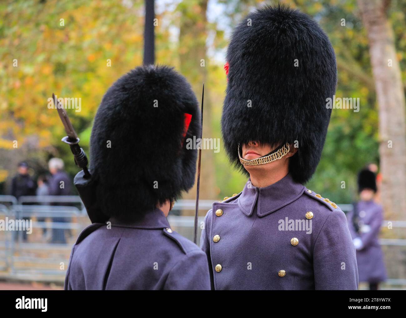 London, UK. 21st Nov, 2023. A foot guard is inspected and greeted by a superior before the procession passes by. Troups proceed along the Mall, accompanying the carriages carrying members of the British Royal family and the state visitors from South Korea. The President of the Republic of Korea, His Excellency Yoon Suk Yeol, accompanied by Mrs Kim Keon Hee, pays a State Visit to the UK as the guest of their Majesties the King and Queen. Credit: Imageplotter/Alamy Live News Stock Photo