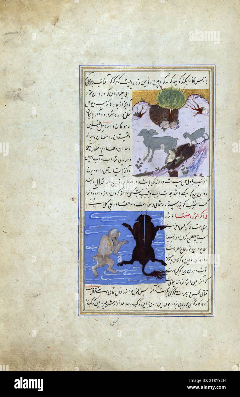 Wonders of creation, Aries, a double-headed sheep with a lamb (top) and Taurus (bottom), A Persian version of the famous 'Wonders of creation' (ʿAjā’ib al-makhlūqāt) by Zakariyāʾ al-Qazwīnī (d. 682 AH / 1283 CE). Composed by Shams al-Dīn Muḥammad al-Ṭūsī (fl. 6th century AH /12th CE), this manuscript, which may have been copied by an Iranian scribe, was illustrated with 181 miniatures (including a double-page map of the world) by several artists probably in Turkey in the 10th century AH / 16th CE Stock Photo