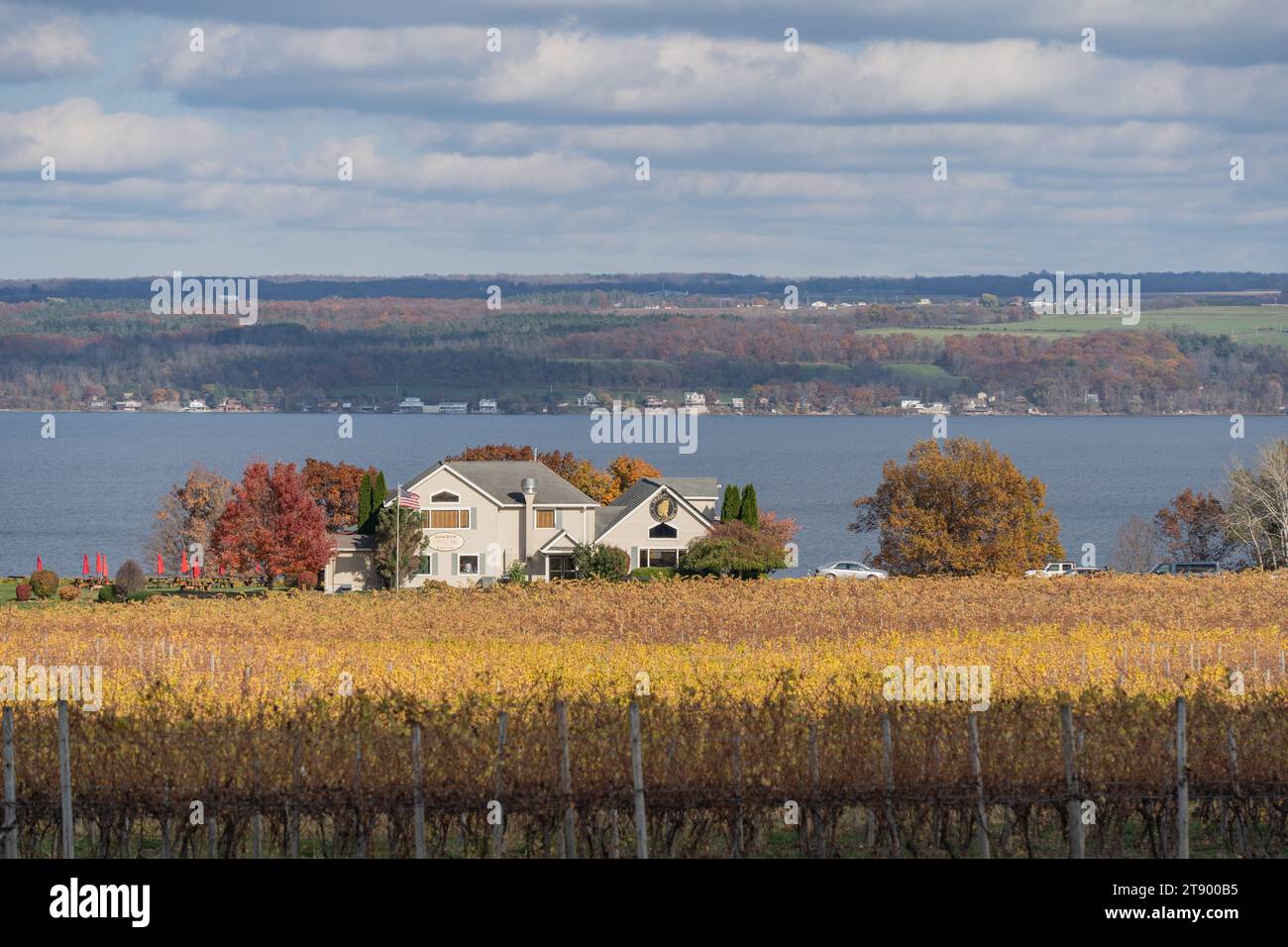 Ovid, New York November 5, 2023 Thirsty Owl Vineyard is located on