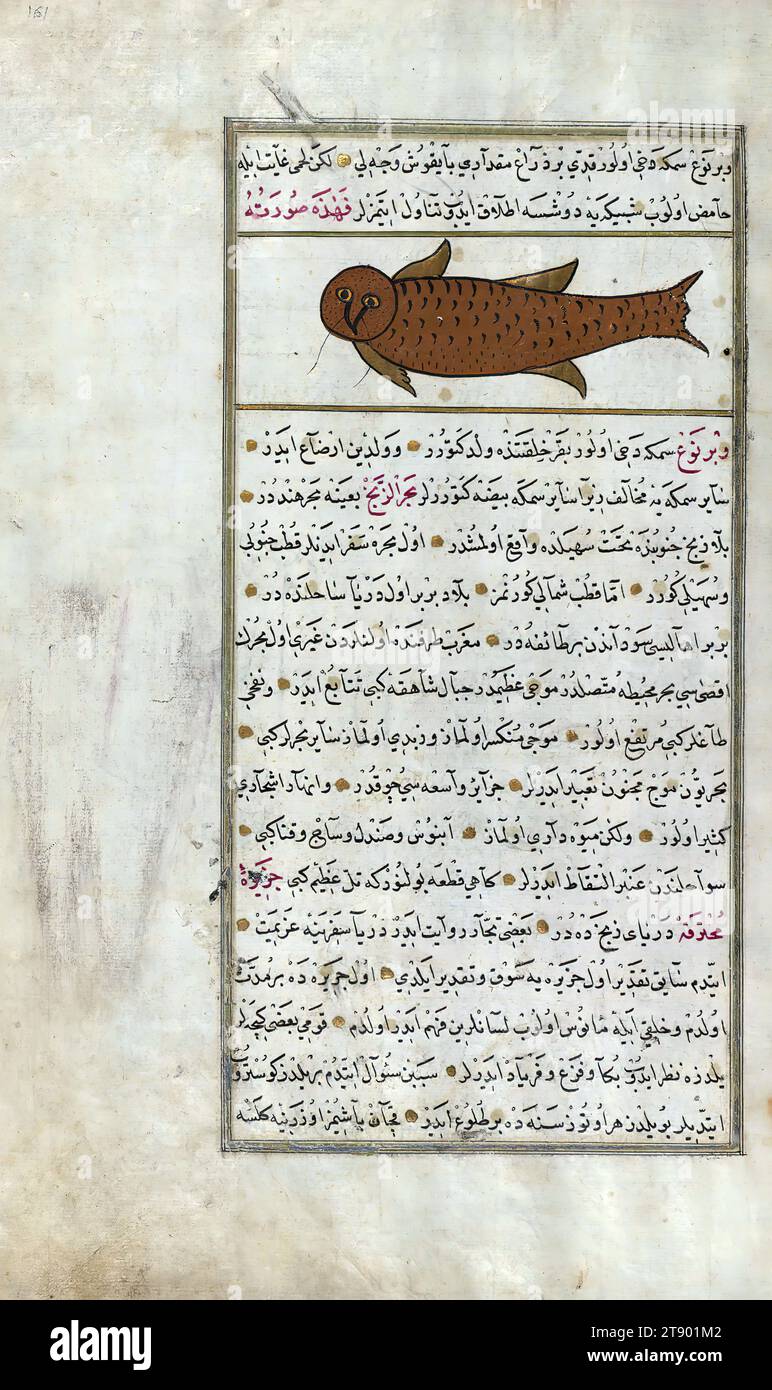 Turkish version of the Wonders of creation, A fish with the head of an owl, This is an Ottoman illuminated and illustrated Turkish version of ʿAjāʾib al-makhlūqāt (Wonders of creation) by Zakarīyā al-Qazwīnī (d. 692 AH / 1293 CE), made at the request of the Vizier Murtaza Paşa (Murtaḍá Pāshā) (fl. eleventh century AH / seventeenth CE). The codex was completed in 1121 AH / 1717 CE by Muḥammad ibn Muḥammad Shākir Rūzmah-ʾi Nāthānī. There are 444 paintings illustrating the text. The binding is not original to the manuscript Stock Photo