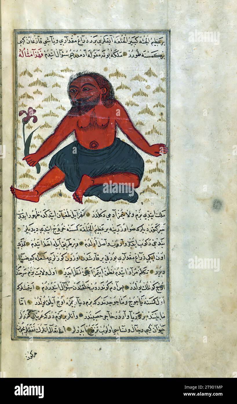 Turkish version of the Wonders of creation, The monster of Gog and Magog, This is an Ottoman illuminated and illustrated Turkish version of ʿAjāʾib al-makhlūqāt (Wonders of creation) by Zakarīyā al-Qazwīnī (d. 692 AH / 1293 CE), made at the request of the Vizier Murtaza Paşa (Murtaḍá Pāshā) (fl. eleventh century AH / seventeenth CE). The codex was completed in 1121 AH / 1717 CE by Muḥammad ibn Muḥammad Shākir Rūzmah-ʾi Nāthānī. There are 444 paintings illustrating the text. The binding is not original to the manuscript Stock Photo