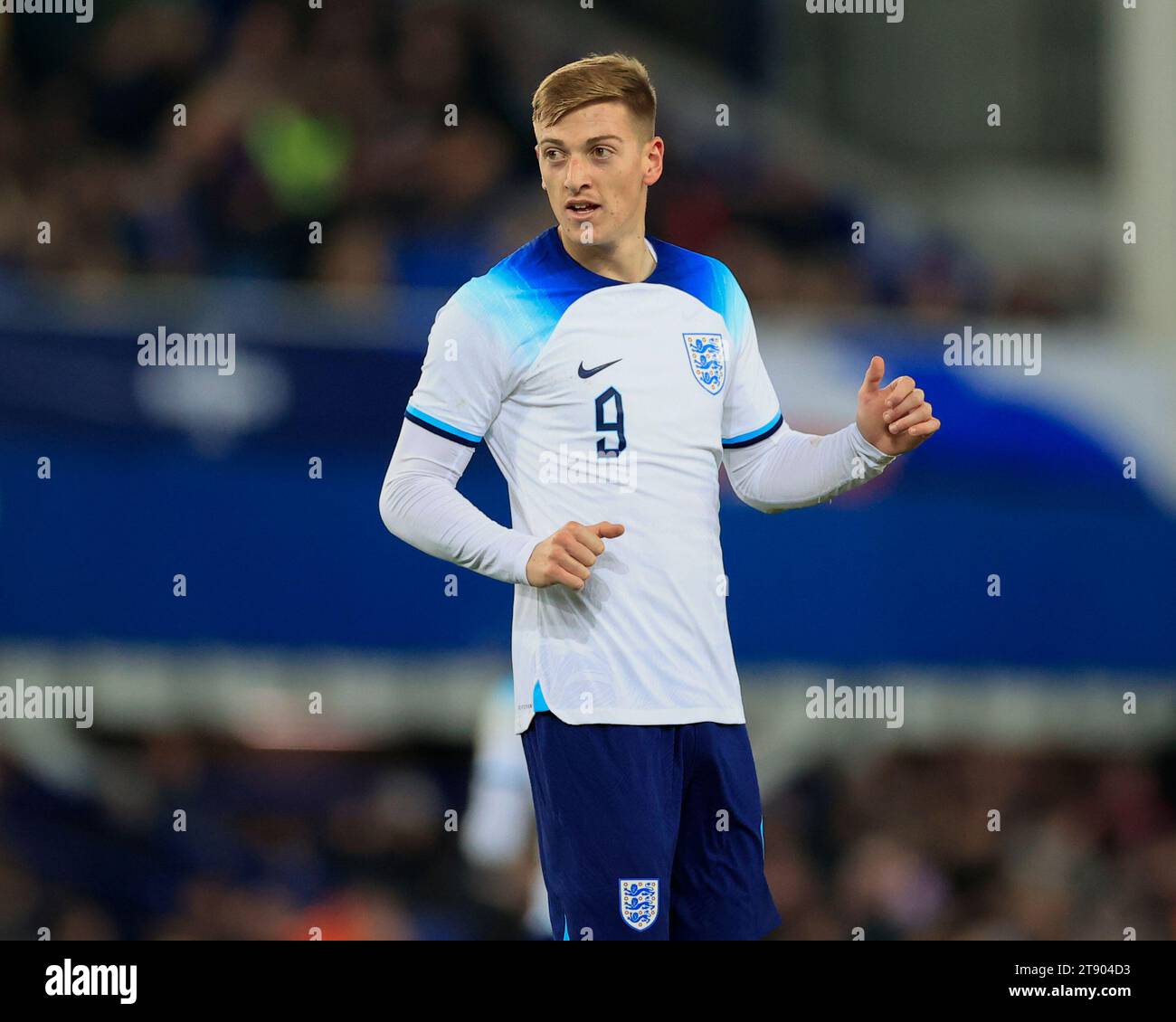 Liam Delap #9 of England U21 during the UEFA Euro U21 Qualifiers match England U21 vs Northern Ireland U21 at Goodison Park, Liverpool, United Kingdom, 21st November 2023  (Photo by Conor Molloy/News Images) Stock Photo