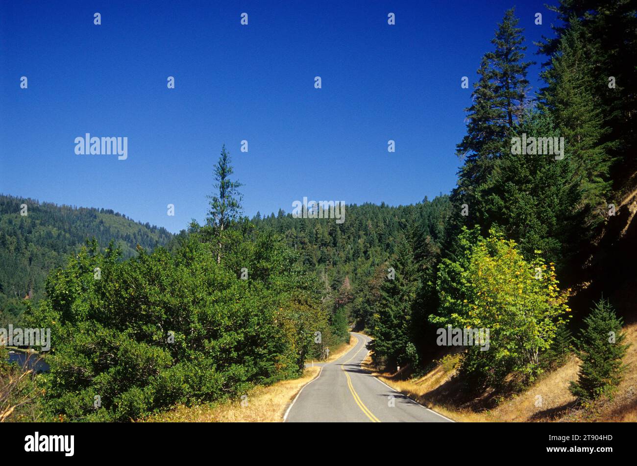 Rogue-Coquille National Scenic Byway, Siskiyou National Forest, Oregon Stock Photo