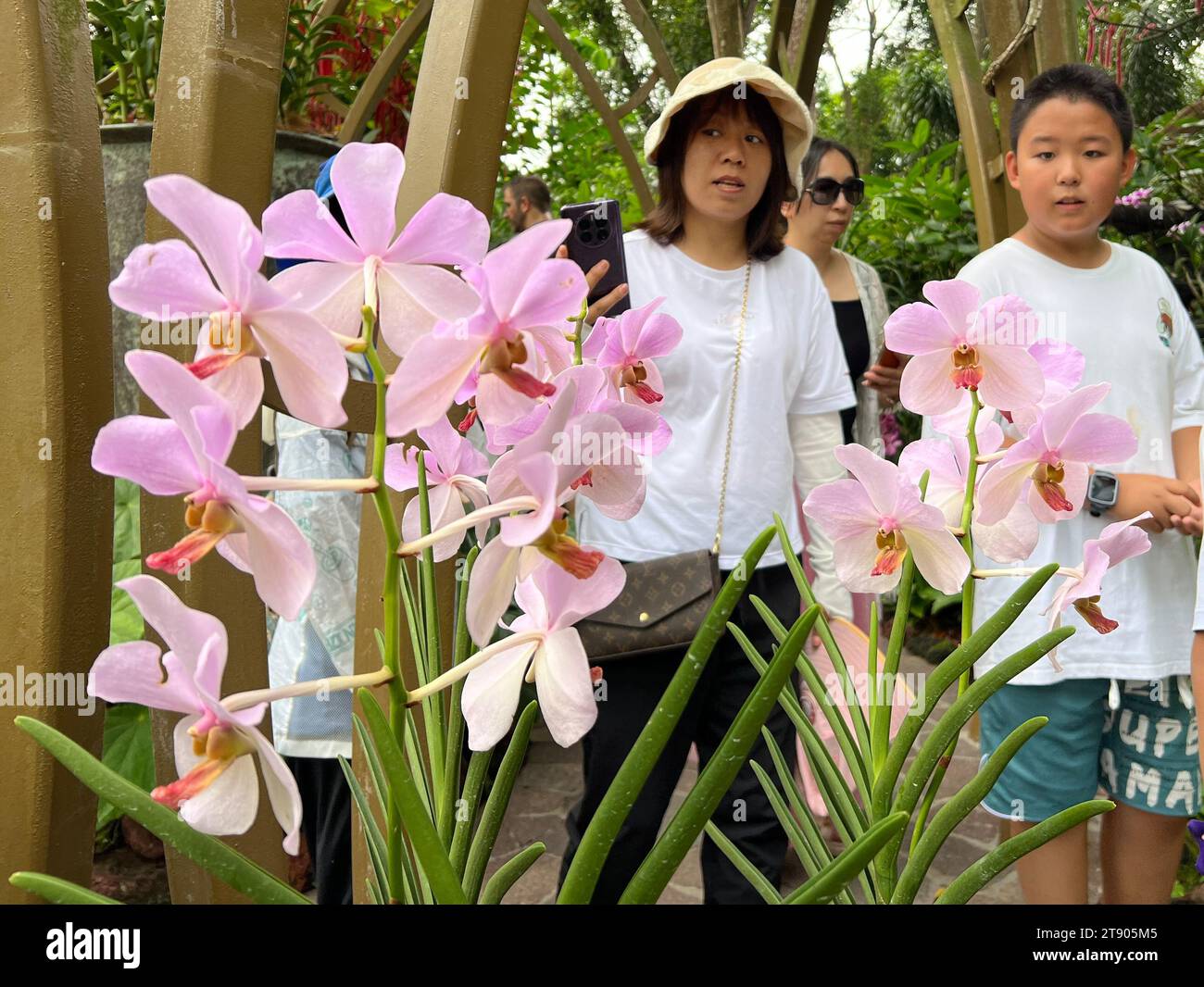 Singapur, Singapore. 01st Oct, 2023. Visitors marvel at orchids in the
