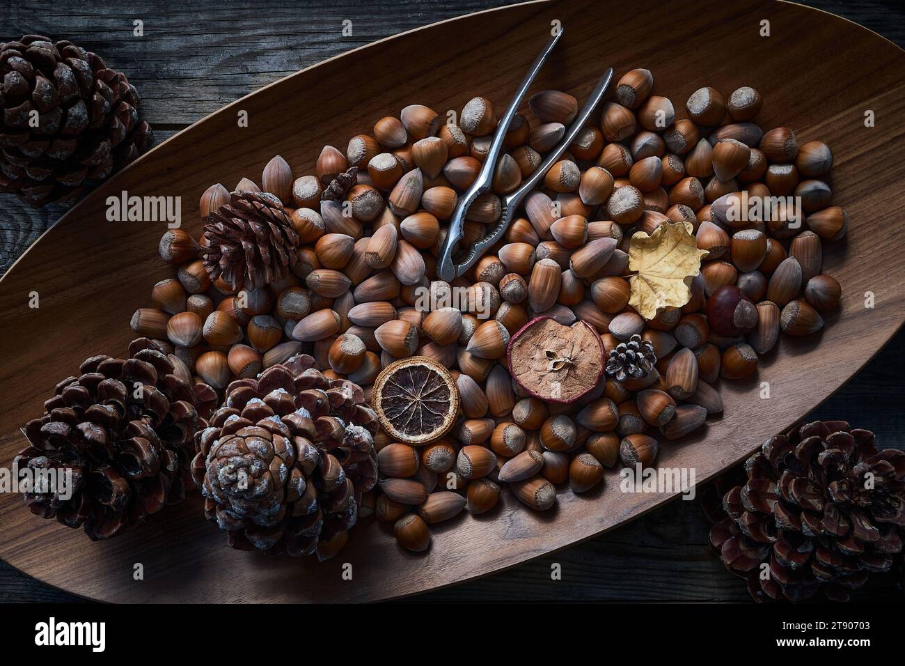Fresh hazelnuts in a large dish top view with hazelnut breaker and pine cones dark ambiance Stock Photo