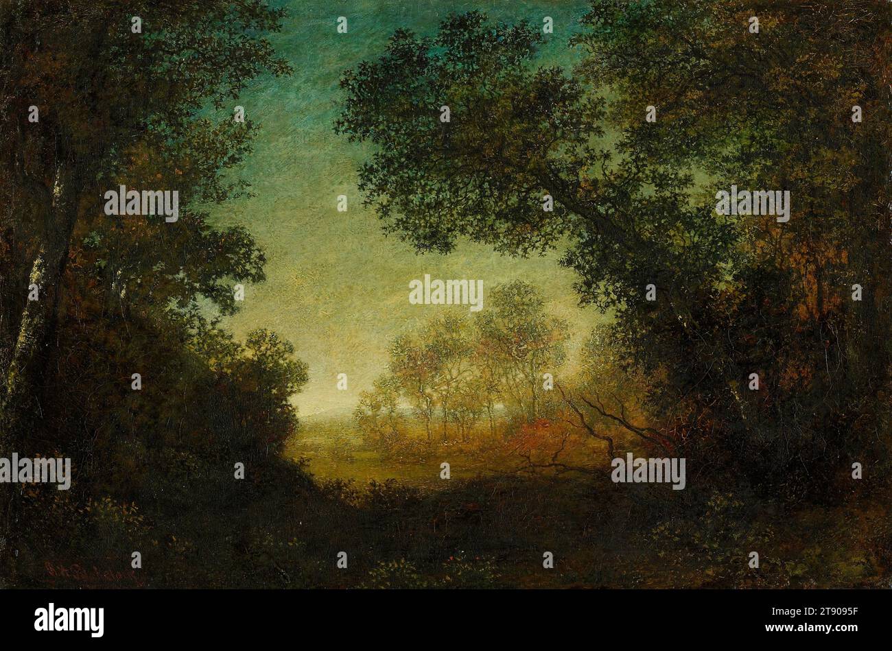 The Vista, c. 1890, Ralph Albert Blakelock, American, 1847 - 1919, 16 x 24 in. (40.64 x 60.96 cm) (canvas), Oil on canvas, United States, 19th century, Rather than turning to Europe as many American artists did in the 1800s, Ralph Blakelock found inspiration in his own country. He painted romantic landscapes. For him, forests evoked a mood, usually of melancholy and solitude. The Vista’s theme is isolation within nature. In this still forest, no creatures are to be seen. The vibrant colors and impasto painting technique add drama. The paint was laid thickly on the canvas and then roughed up Stock Photo