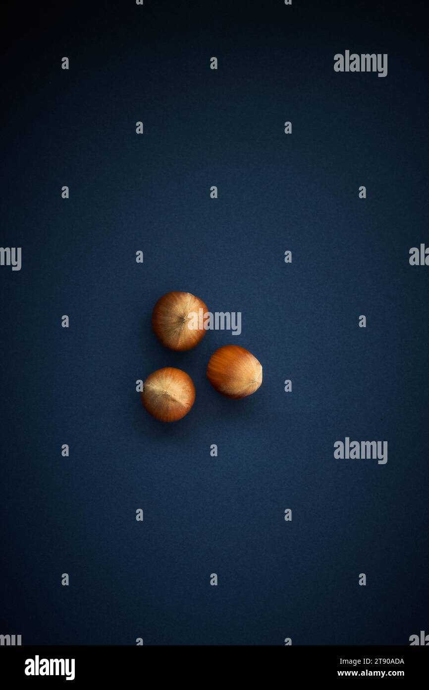 Three whole hazelnuts on a blue background seen from above Stock Photo