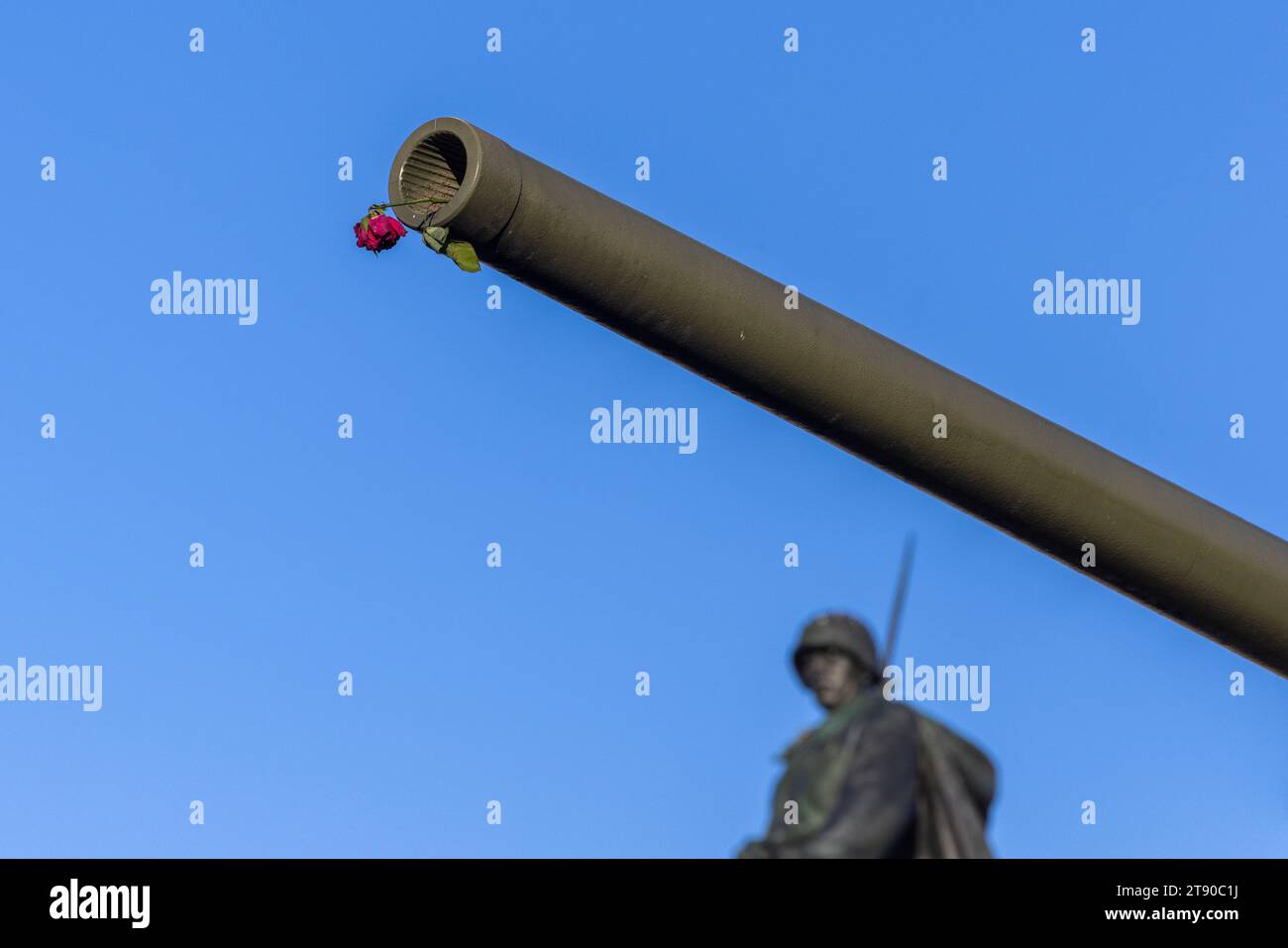 Rose Placed in Barrel of Tank Cannon at the Soviet War Memorial, Tiergarten, Berlin, Germany Stock Photo