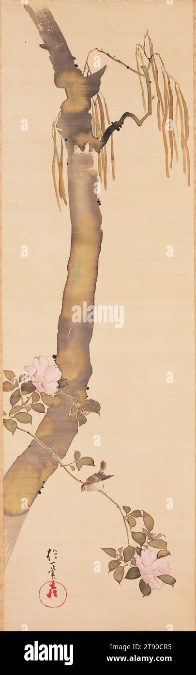 Wren on Camellia Branch, after 1824, Sakai Hōitsu, Japanese, 1761 - 1828, 45 1/2 × 13 7/8 in. (115.57 × 35.24 cm) (image)79 × 19 3/16 in. (200.66 × 48.74 cm) (mount, without roller), Ink and color on gold leaf, Japan, 19th century Stock Photo