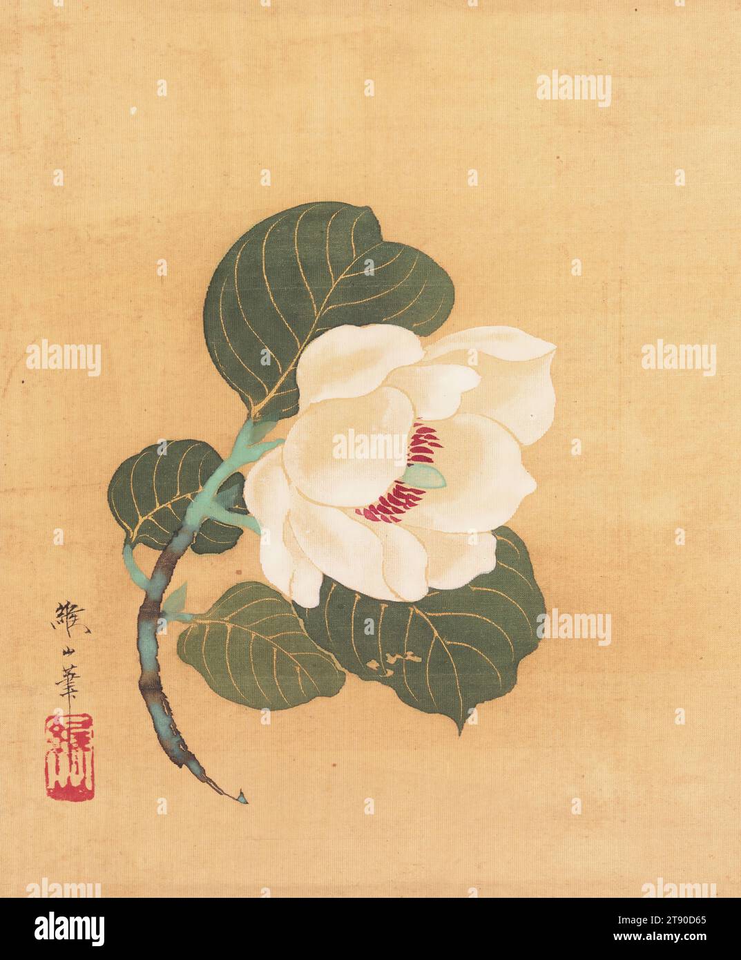 Camellia japonica, first half 19th century, Nonoyama Kōzan, Japanese, 1780 - 1847, 7 9/16 × 6 1/4 in. (19.21 × 15.88 cm) (image)42 9/16 × 12 5/16 in. (108.11 × 31.27 cm) (mount, without roller), Ink and color on silk, Japan, 19th century Stock Photo