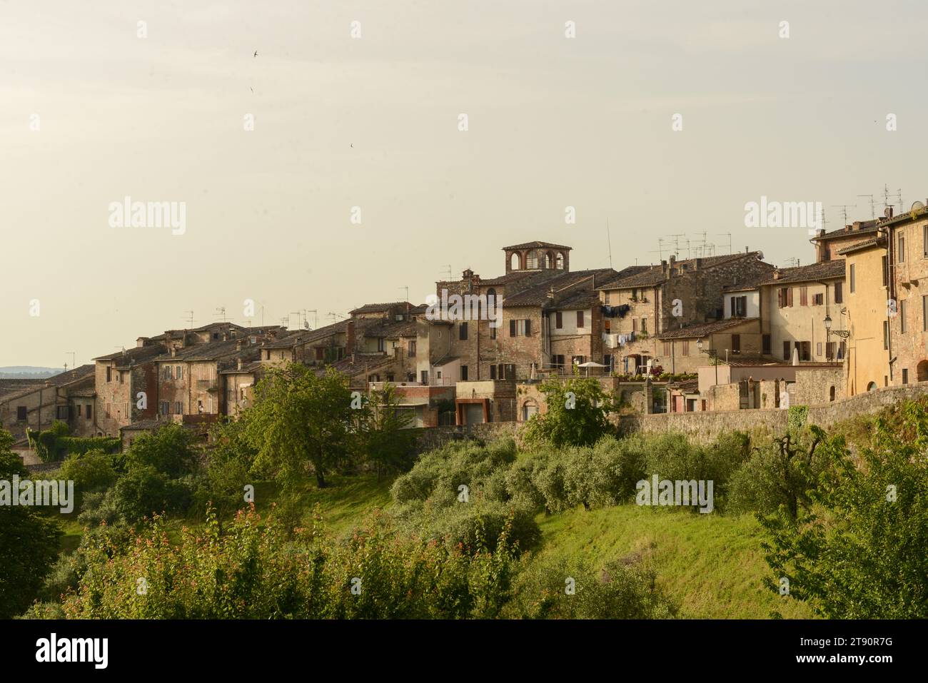 Italy, toskana colle di val d'elsa centro storico Stock Photo