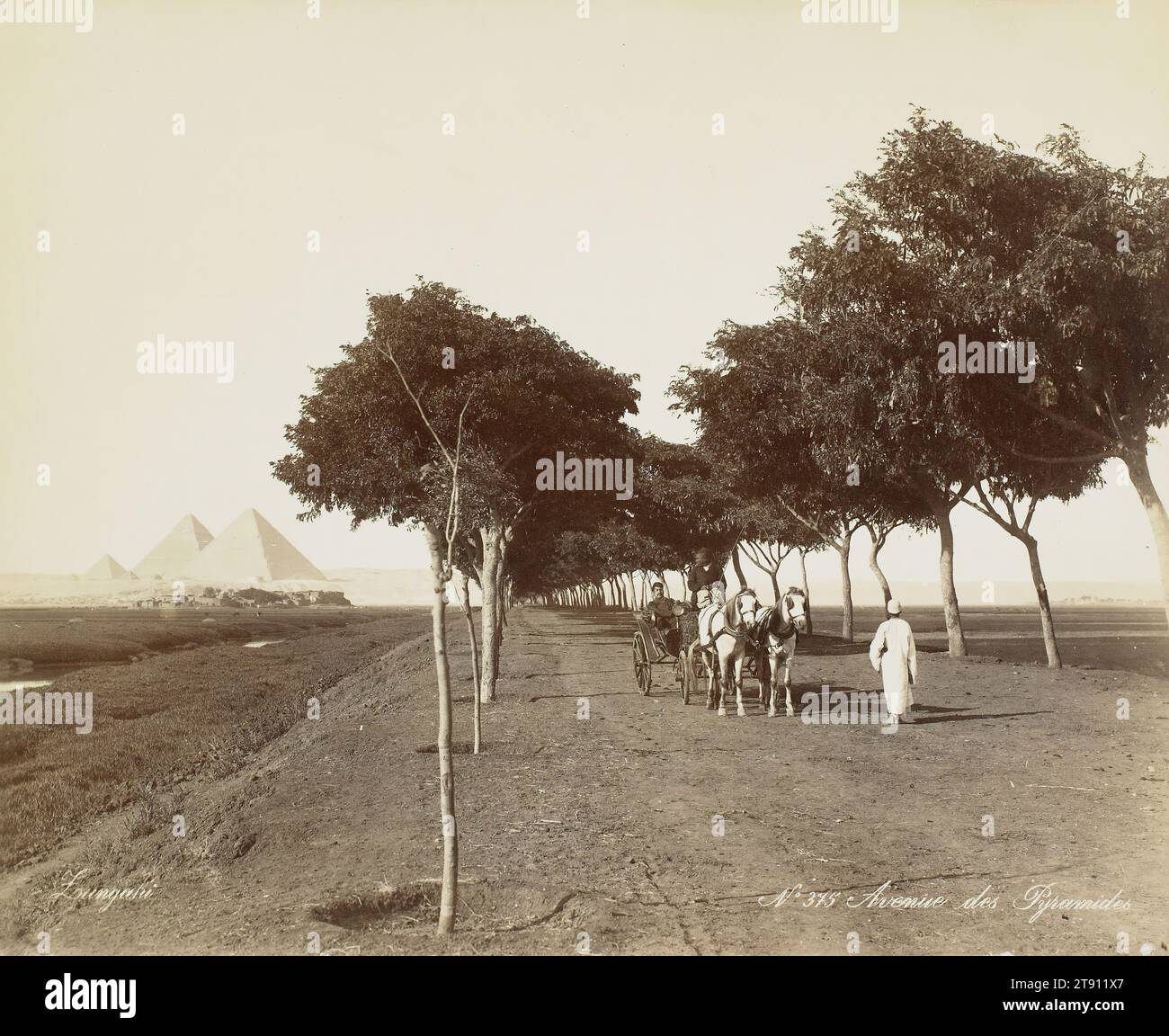 Avenue des Pyramides, 19th century, Zangaki, Greek, 8 15/16 x 11 in. (22.7 x 27.94 cm) (image), Albumen print, Egypt, 19th century Stock Photo