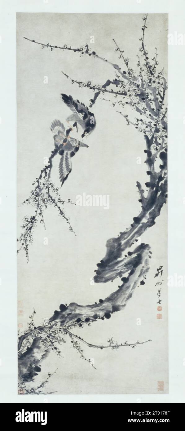Magpies with Plum Blossom, 17th century, Zhang Feng, Chinese, active 1628-after 1668, 50 1/8 x 19 7/8 in. (127.32 x 50.48 cm) (image), Ink and color on silk, China, Qing dynasty, Birds could convey good wishes and greetings through the puns on their names, which conjure up verbal associations with lucky ideas. Xique (magpie), for instance, is an auspicious bird whose caw heralds the approach of good fortune. Its name in Chinese forms a pun on the word xie ('happiness' and 'joy.'). Together with the plum blossom, a flower blooming in late winter and representing renewal and heralding spring Stock Photo
