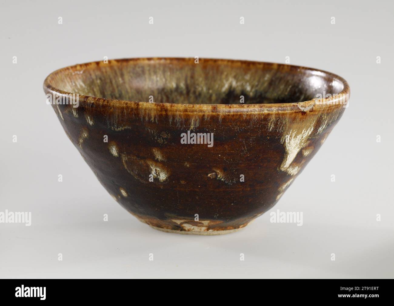 Buff colored tortoiseshell markings covers hi-res stock photography and ...