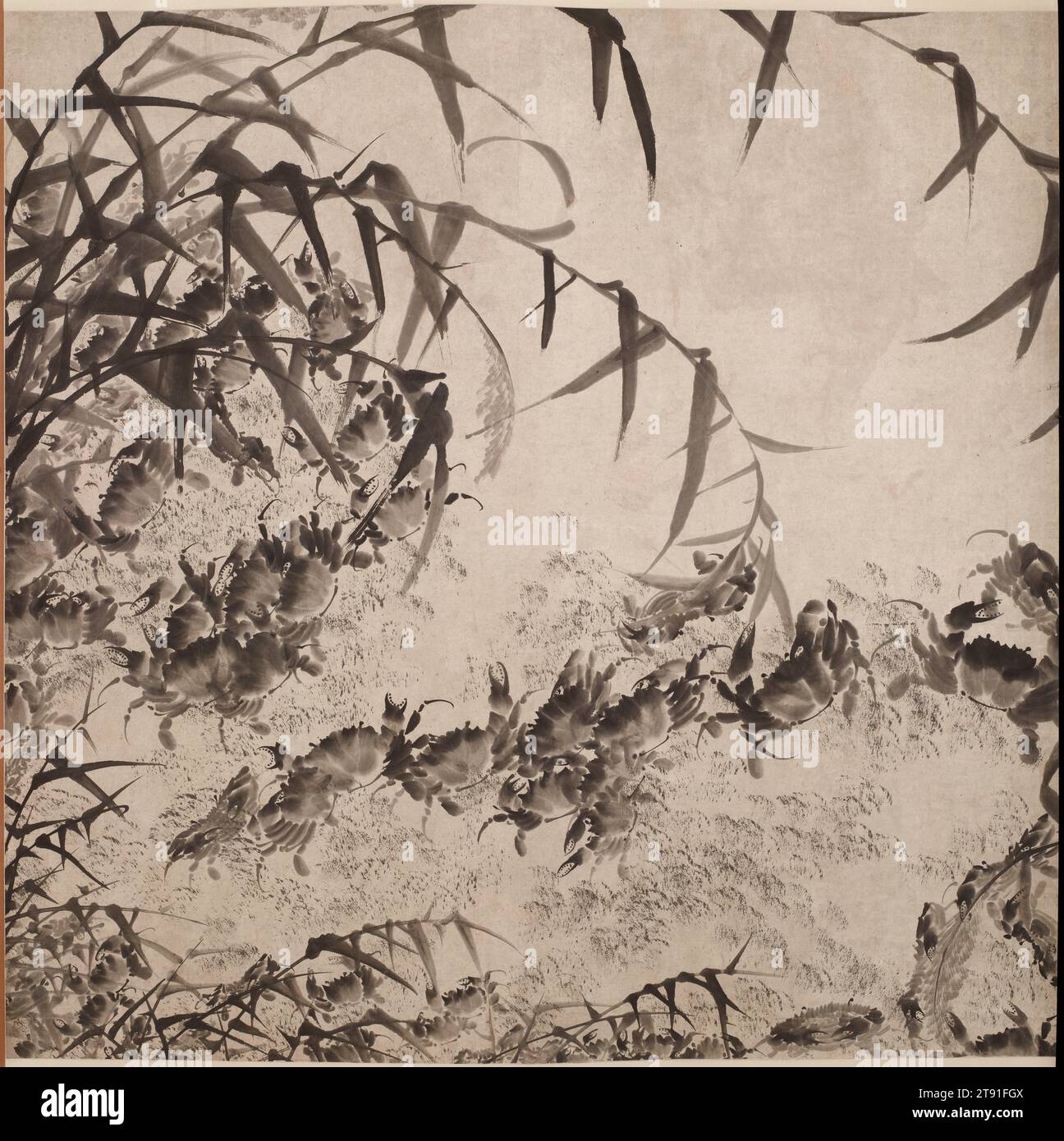 One Hundred Crabs, 1835, Zhao Ziyong; Artist: Zhao Guangqi, Chinese, 1786 - 1847, 100 1/8 x 47 5/8 in. (254.32 x 120.97 cm) (a (left scroll), overall, without roller), Ink on paper, China, 19th century, Tall reeds bend gracefully over a bank of grass while a host of crabs scuttle along the water’s edge, pincers held high. The crab was a standard subject of paintings, and like bamboo and orchids lent itself to expressive brushwork. Originally mounted as four hanging scrolls, this composition has a panoramic effect—difficult to achieve in the single, hanging-scroll format Stock Photo