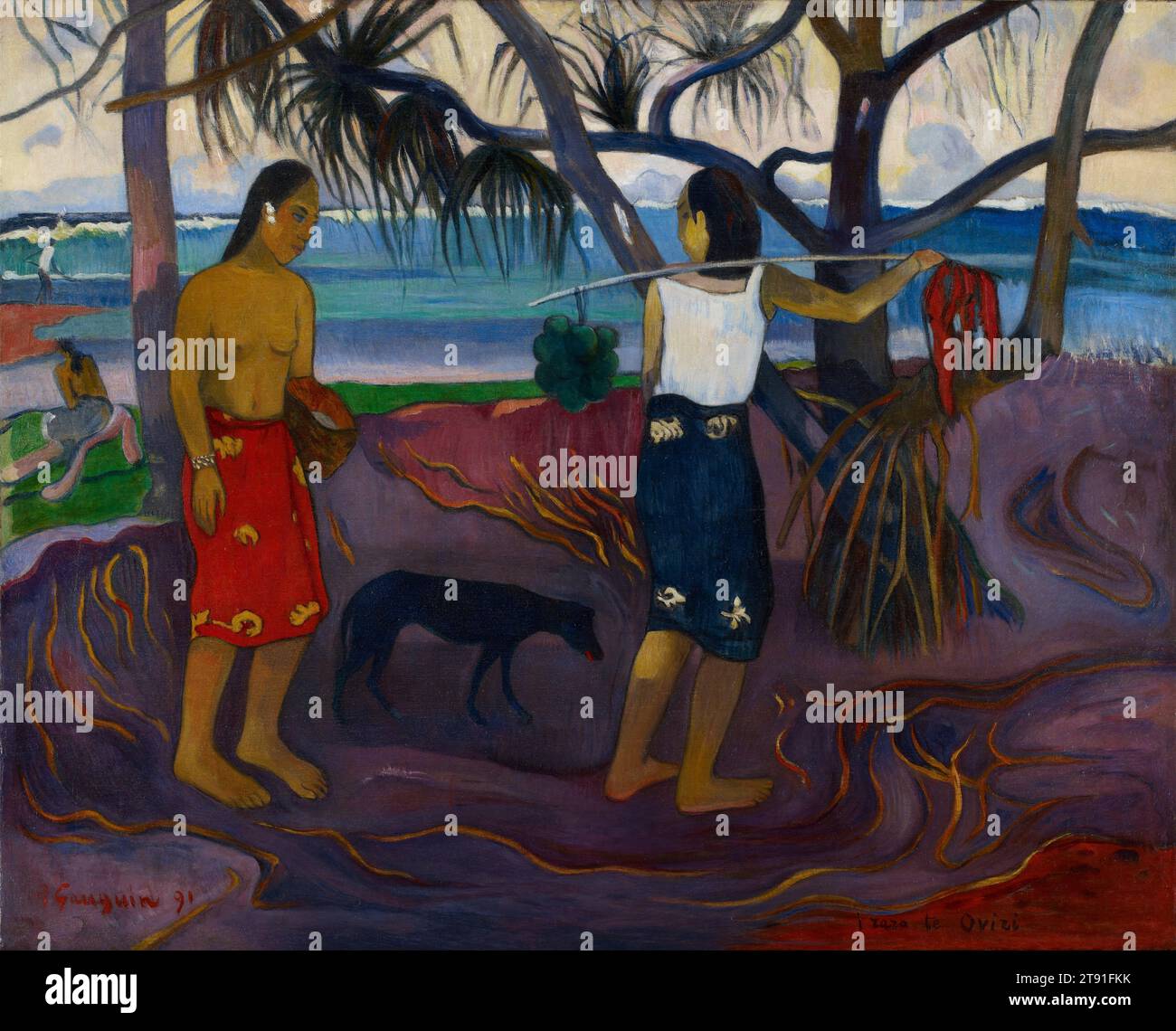 1 96 x 3 94 cm hi-res stock photography and images - Alamy