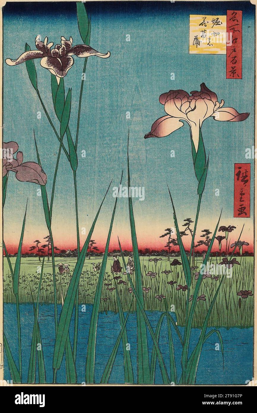 Horikiri Iris Garden, 1857, intercalary 5th month, Utagawa Hiroshige; Publisher: Sakanaya Eikichi, Japanese, 1797 - 1858, 13 1/4 x 8 11/16 in. (33.6 x 22.1 cm) (image)14 1/4 × 9 1/2 in. (36.2 × 24.1 cm) (sheet, vertical ōban)17 15/16 x 14 in. (45.5 x 35.5 cm) (mat), Woodblock print (nishiki-e); ink and color on paper, Japan, 19th century Stock Photo