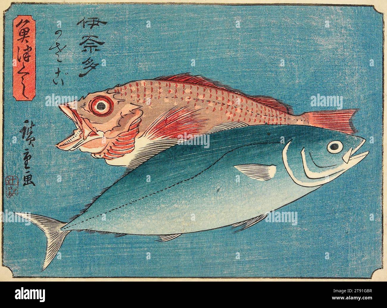 Yellowtail and Rockfish, c. 1835-1839, Utagawa Hiroshige; Publisher: Tsujiya Yasubei, Japanese, 1797 - 1858, 5 15/16 × 8 1/4 in. (15.1 × 20.9 cm) (image, horizontal chūban), Woodblock print (nishiki-e); ink and color on paper, Japan, 19th century Stock Photo