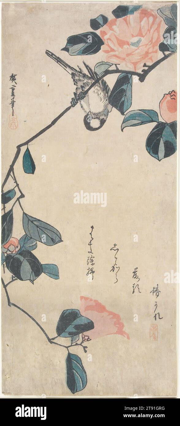 Camellia and Bullfinch, early 1830s, Utagawa Hiroshige, Japanese, 1797 - 1858, 14 3/8 × 6 3/8 in. (36.5 × 16.2 cm) (image, sheet, ōtanzaku)23 × 19 × 1 1/2 in. (58.42 × 48.26 × 3.81 cm) (outer frame), Woodblock print (nishiki-e); ink and color on paper, Japan, 19th century Stock Photo