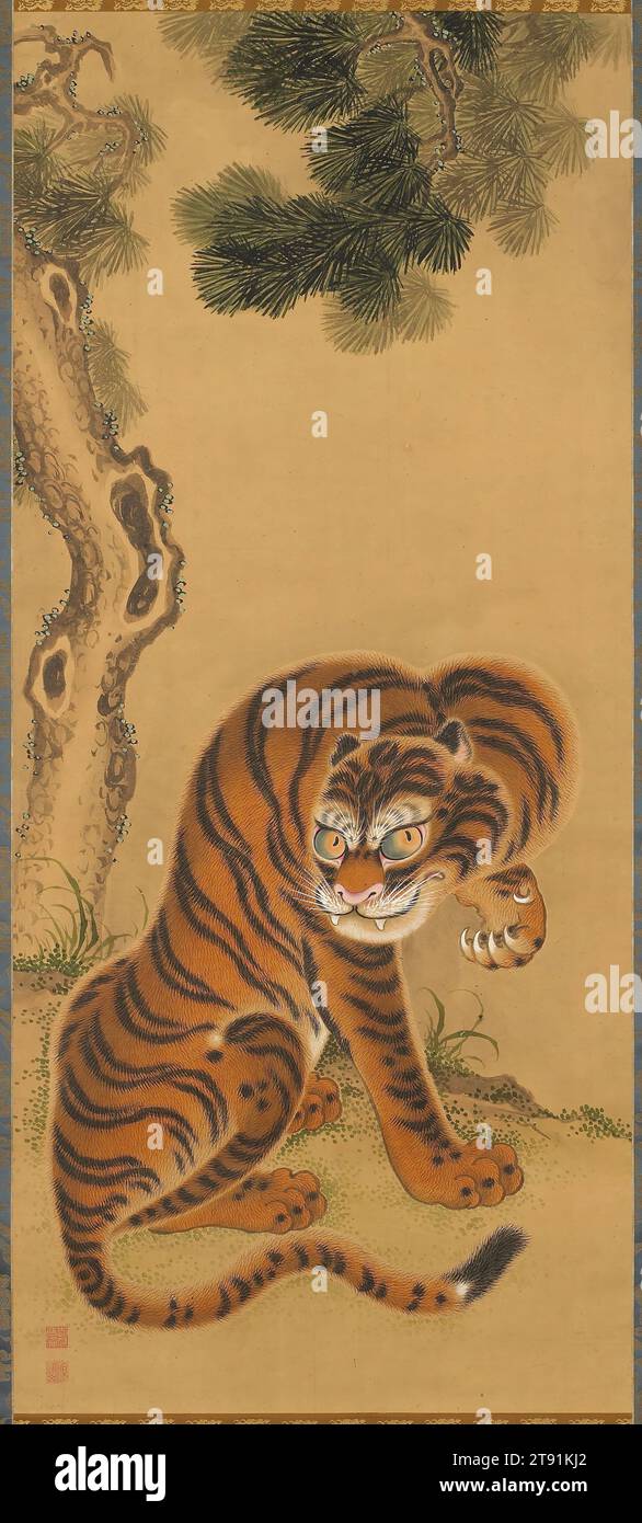 Tiger Cleaning Its Paw, early 19th century, Matsui Keichū, Japanese, 1785 - 1819, 52 9/16 x 23 in. (133.51 x 58.42 cm) (image)80 9/16 x 27 7/8 in. (204.63 x 70.8 cm) (overall, without roller), Ink and color on paper, Japan, 19th century Stock Photo