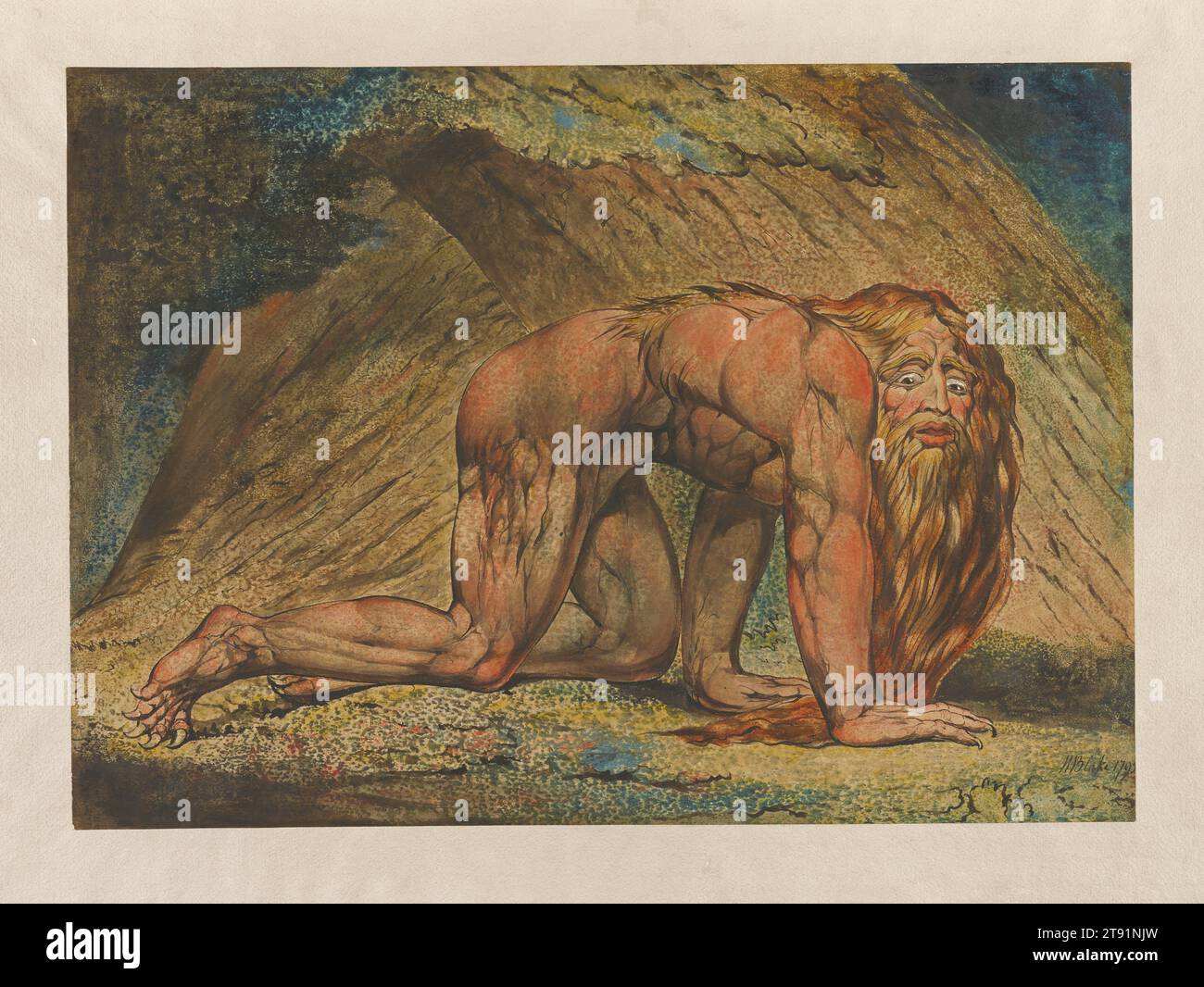 Nebuchadnezzar, 1795, William Blake, British, 1757–1827, 16 15/16 x 23 3/4 in. (43.0 x 60.3 cm) (sheet)23 3/4 x 29 3/4 x 1 1/8 in. (60.33 x 75.57 x 2.86 cm) (outer frame), Color monotype in tempera, finished with pen, black ink and watercolor on cream paper, England, 18th century, King Nebuchadnezzar of Babylon failed to heed the prophet Daniel’s warning to mend his sinful ways and show mercy to the poor. God stripped the king of his realm and drove him to 'eat grass as oxen, . . . his body . . . wet with the dew of heaven, till his hairs were grown like eagles’ feathers Stock Photo