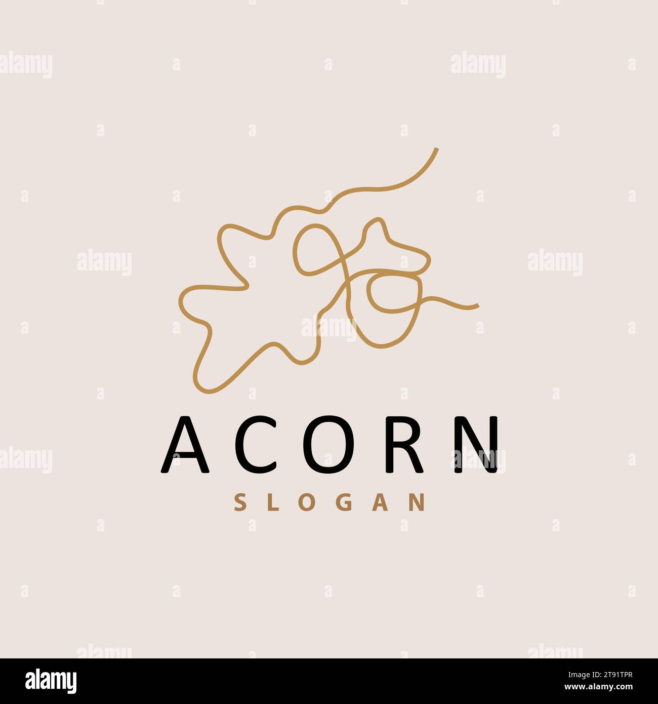Acron Logo, Premium Design Simple Vintage Retro Style, Vector Oak Nuts Acorns, Icon Symbol Illustration Template Stock Vector