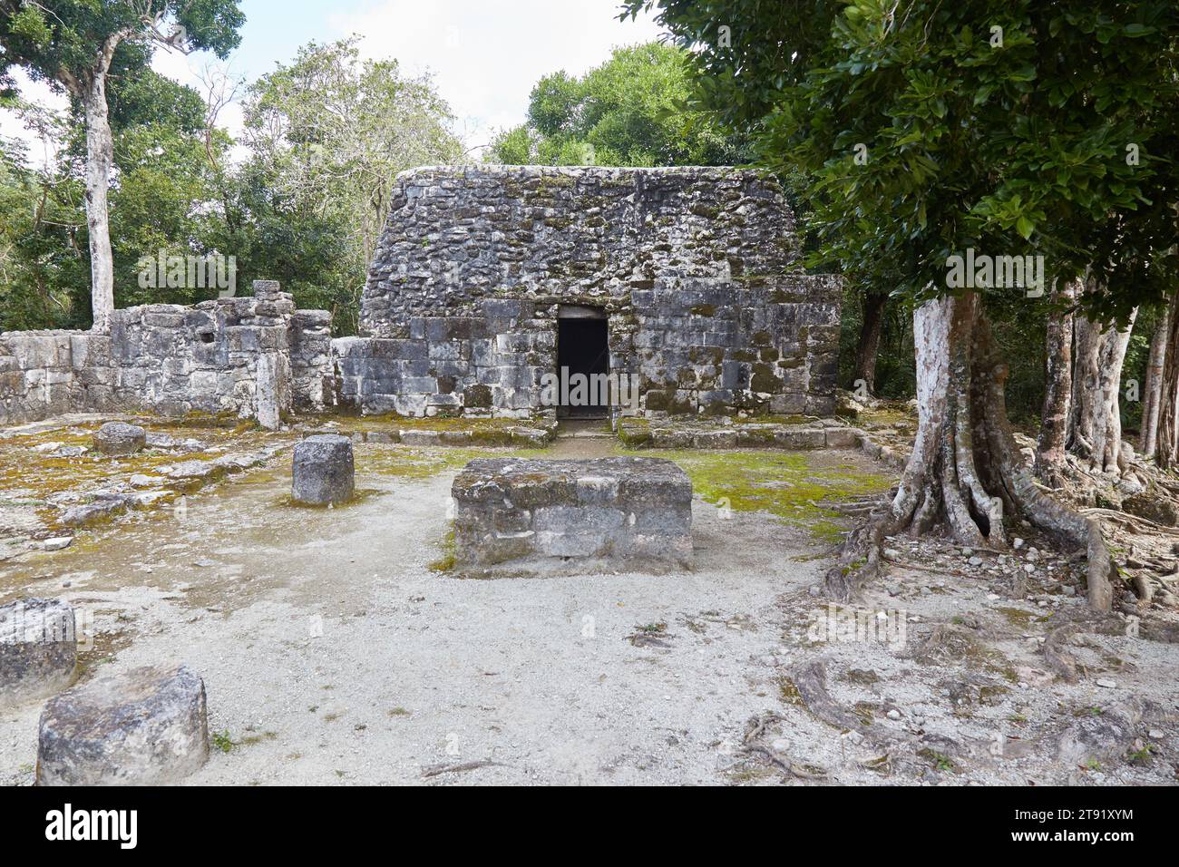 The obscure Mayan ruins of San Gervasio, located on the Mexican island of Cozumel Stock Photo