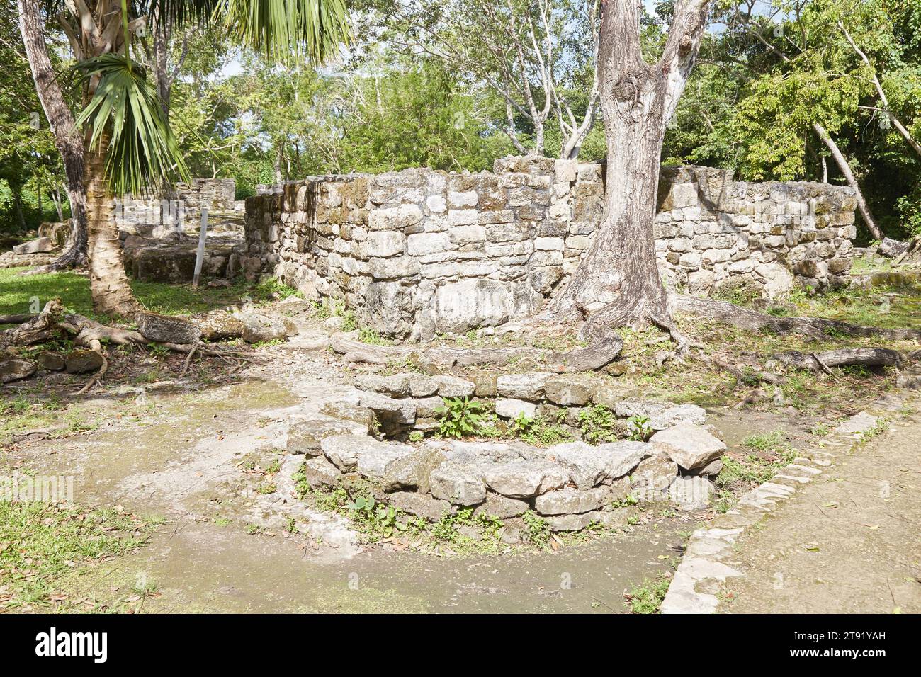 The obscure Mayan ruins of San Gervasio, located on the Mexican island of Cozumel Stock Photo