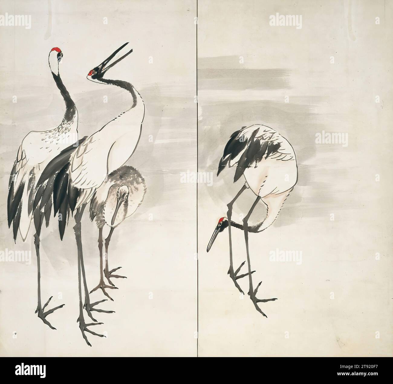 Family of Cranes left of a pair, c. 1787, Nagasawa Rosetsu, Japanese, 1754 - 1799, 61 3/4 × 68 in. (156.85 × 172.72 cm) (image)67 3/4 × 74 1/4 × 3/4 in. (172.09 × 188.6 × 1.91 cm) (outer frame, including mount), Ink and color on paper, Japan, 18th century, Red-crowned cranes were once ubiquitous throughout the wetlands of China, Korea and Japan. Their impressive size (up to five feet tall), striking coloration, and lively 'dance' made them a popular subject among artists. In East Asia mythology, they are believed to live for 1,000 years, and thus became auspicious symbols of longevity. Stock Photo