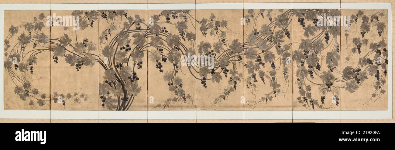 Grapevines, late 19th century, Unknown Korean, 31 3/4 × 119 1/2 in. (80.65 × 303.53 cm) (image)67 1/2 × 129 1/2 × 5/8 in. (171.45 × 328.93 × 1.59 cm) (outer frame), Ink on paper, Korea, 19th century, An enormous tangle of grapevines emerges at center left and trails up and away across the eight panels of this folding screen. The vines, depicted only in monochrome ink, are loaded with globular fruits and adorned with myriad spiraling tendrils. Although grapes lack the rich symbolic associations of the so-called Four Gentlemen (plum, orchid, chrysanthemum, and bamboo), paintings of grapevines Stock Photo