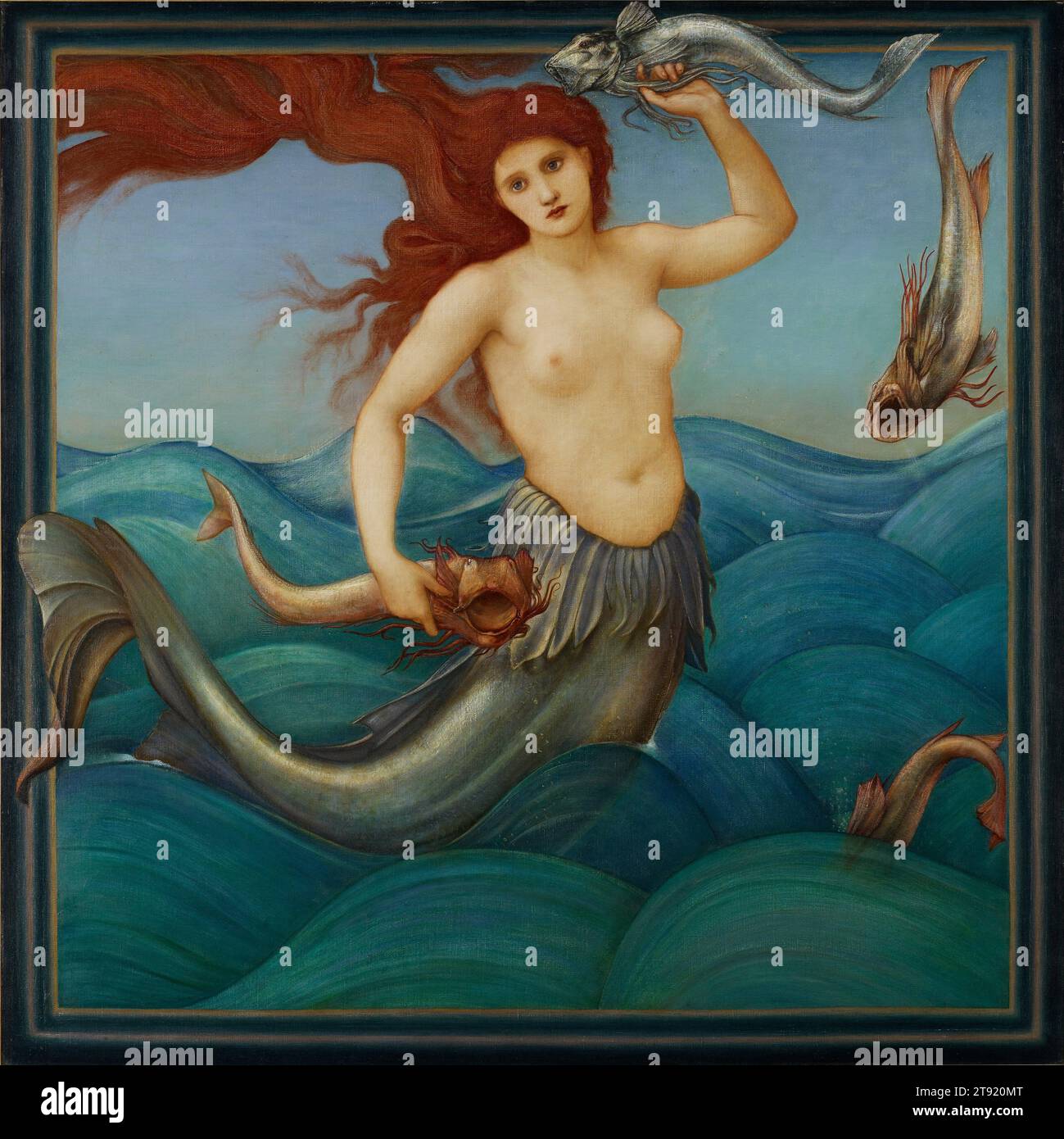 A sea nymph hi-res stock photography and images - Alamy