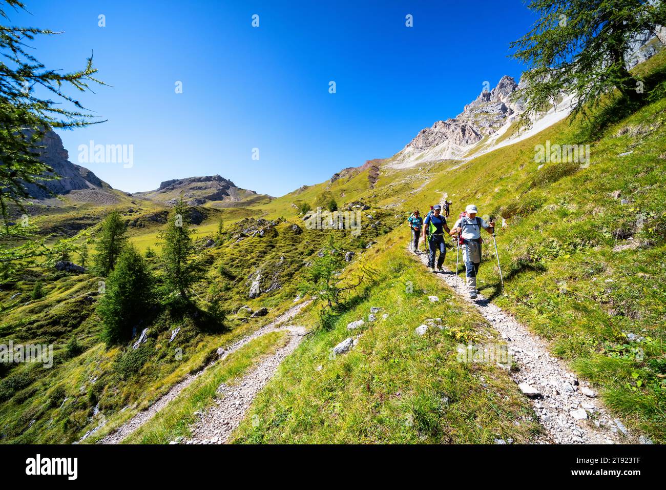 Hiking on Alta Via 2, summit of Forca Rossa pass in the background, near Rocca Pietore, Italy Stock Photo