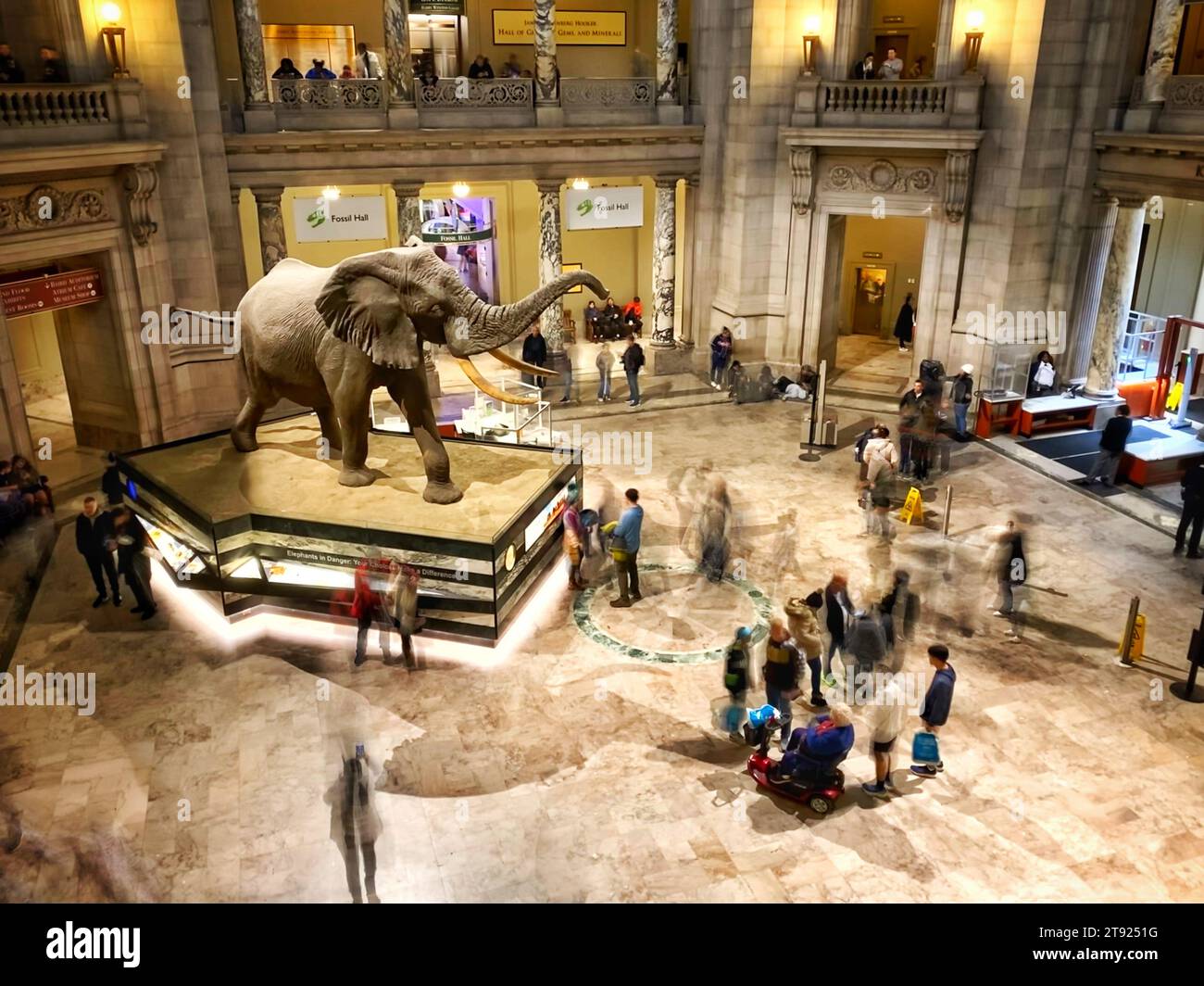 The rotunda of the National Museum of Natural History in Washington, DC Stock Photo