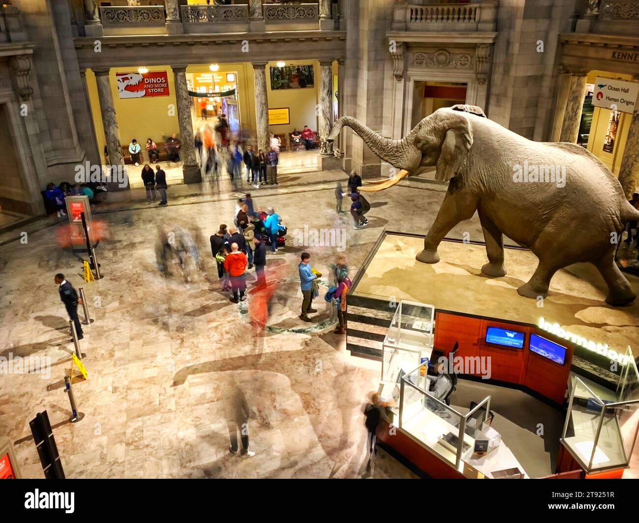 The rotunda of the National Museum of Natural History in Washington, DC Stock Photo