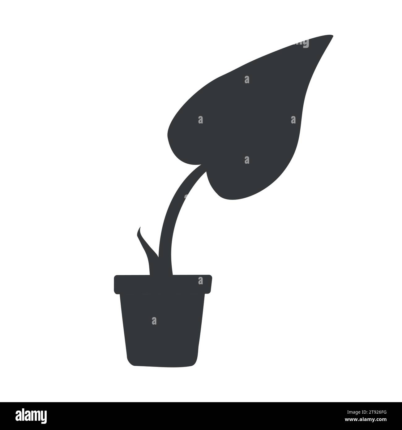 vector-black-illustration-about-greenery-includes-pot-with-tropical-plant-isolated-icon-with-new-leaf-on-monstera-albo-hobby-to-grow-and-care-about-2T926FG.jpg