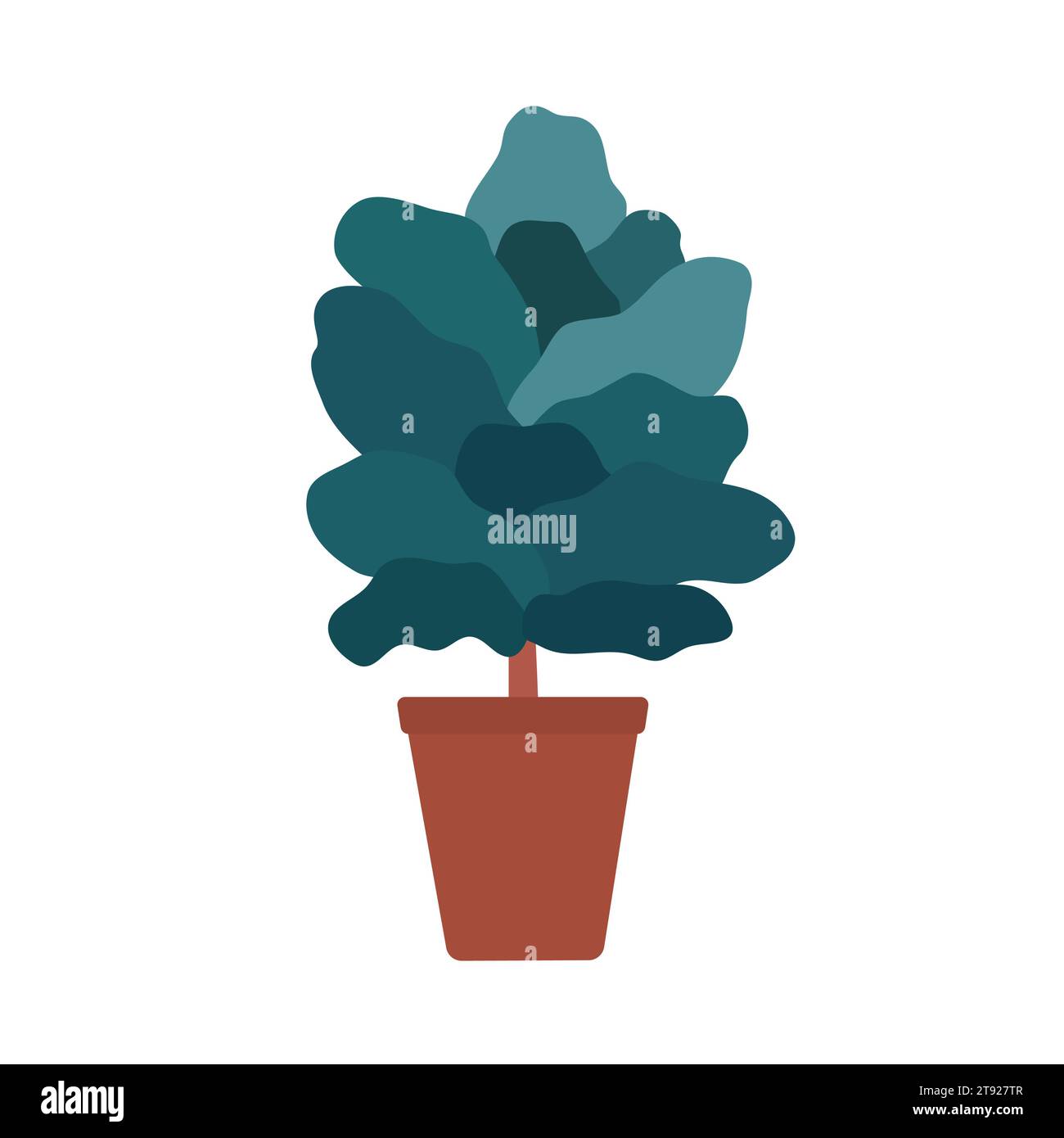 Vector isolated illustration with exotic Ficus lyrata in ceramic pot. Poster for professional guide about growing plants like fiddle leaf fig at home. Stock Vector