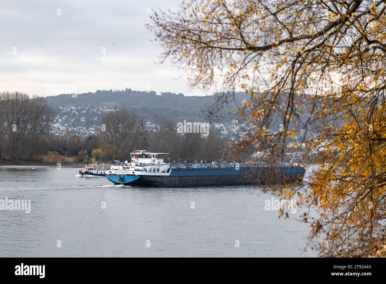 A small vessel passing a river barge on the river Rhine in autumn with branches with autumn foliage in the foreground Stock Photo