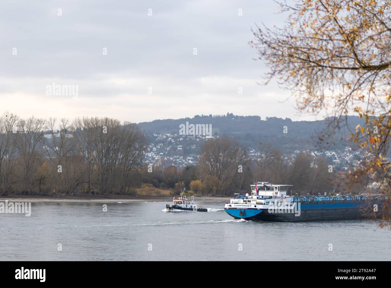 A small vessel passing a river barge on the river Rhine in autumn with branches with autumn foliage in the foreground Stock Photo